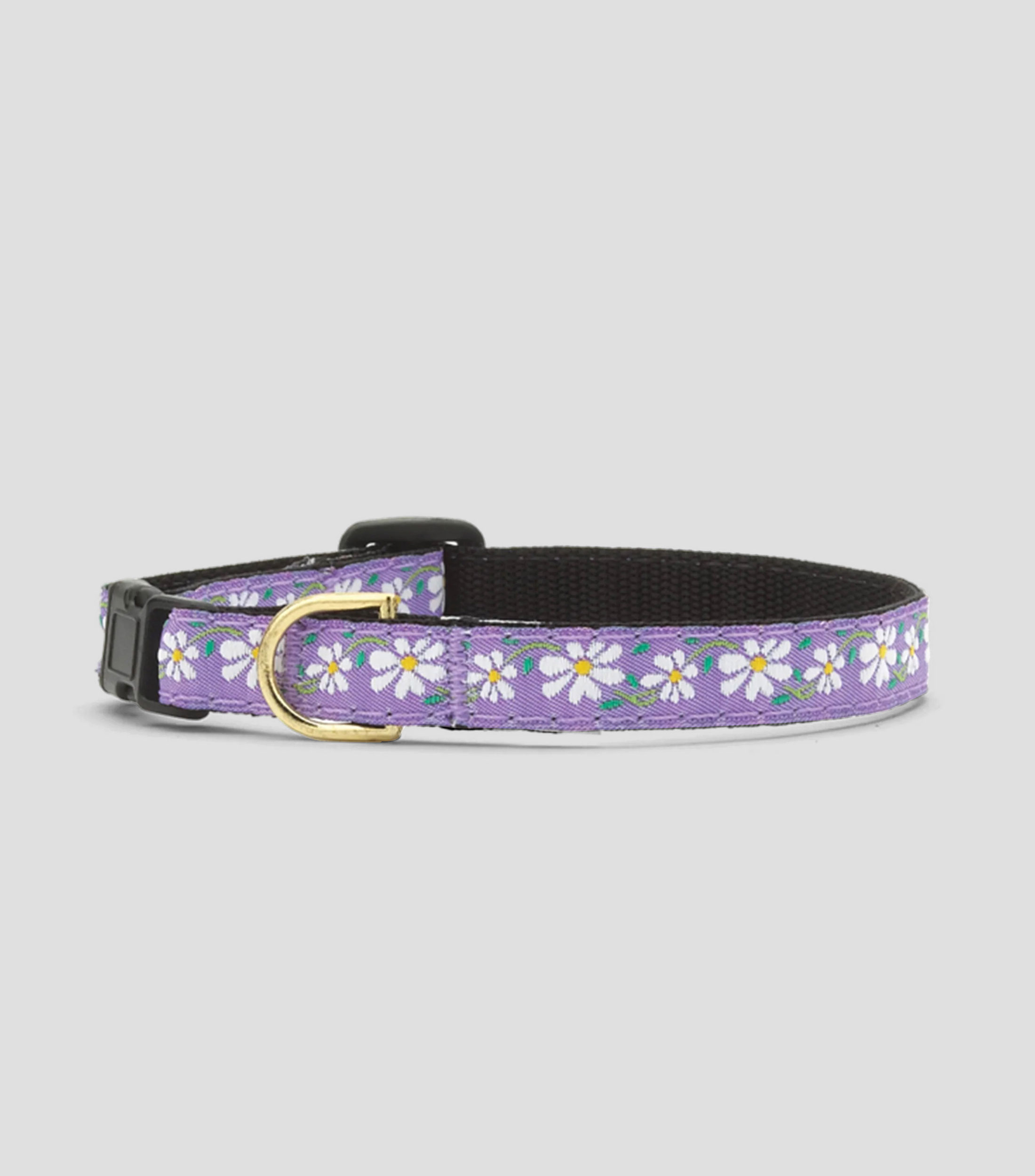 Collar delgado para perro Daisy