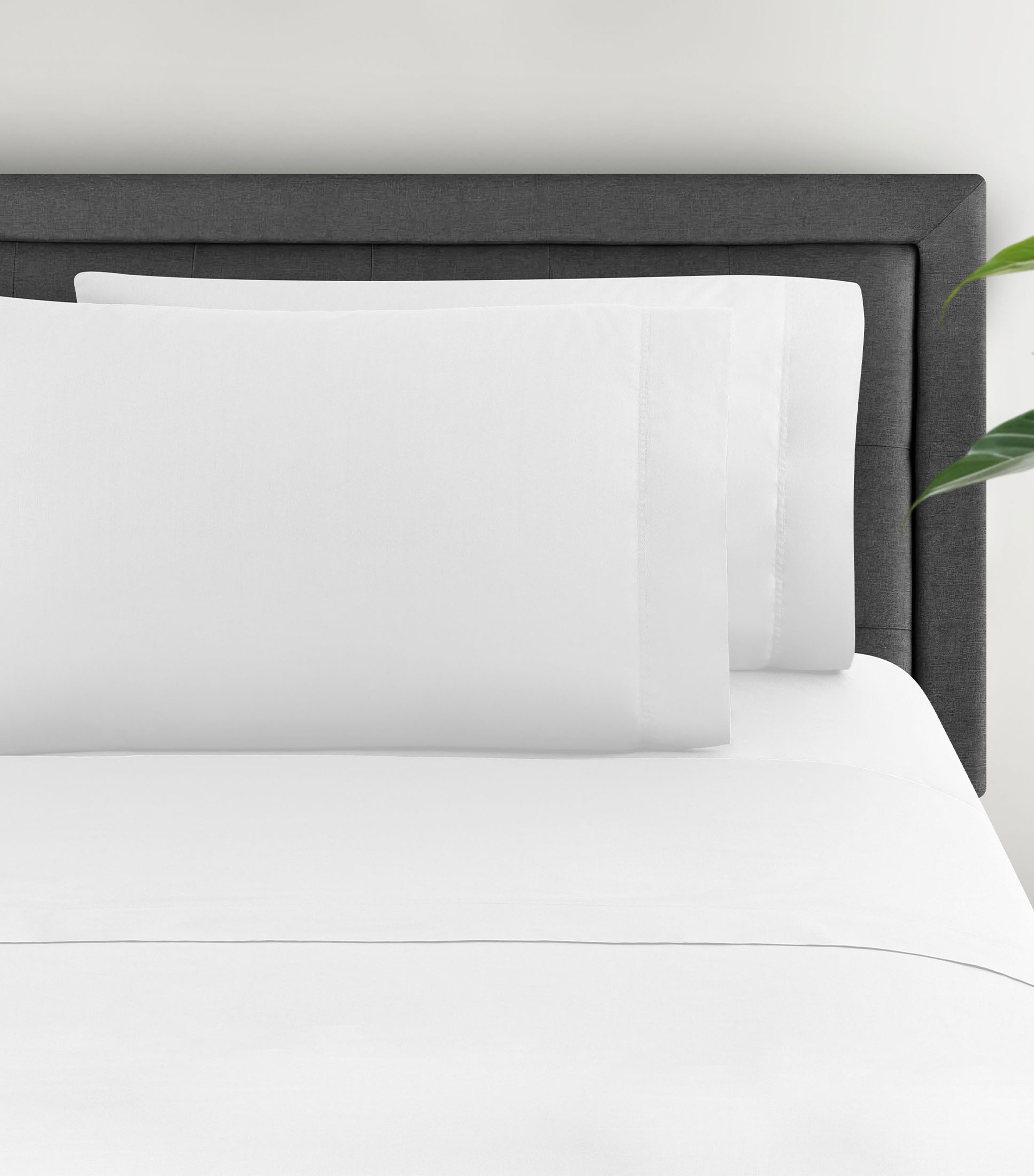 Juego de Sabanas Queen Size Algodon Blanco