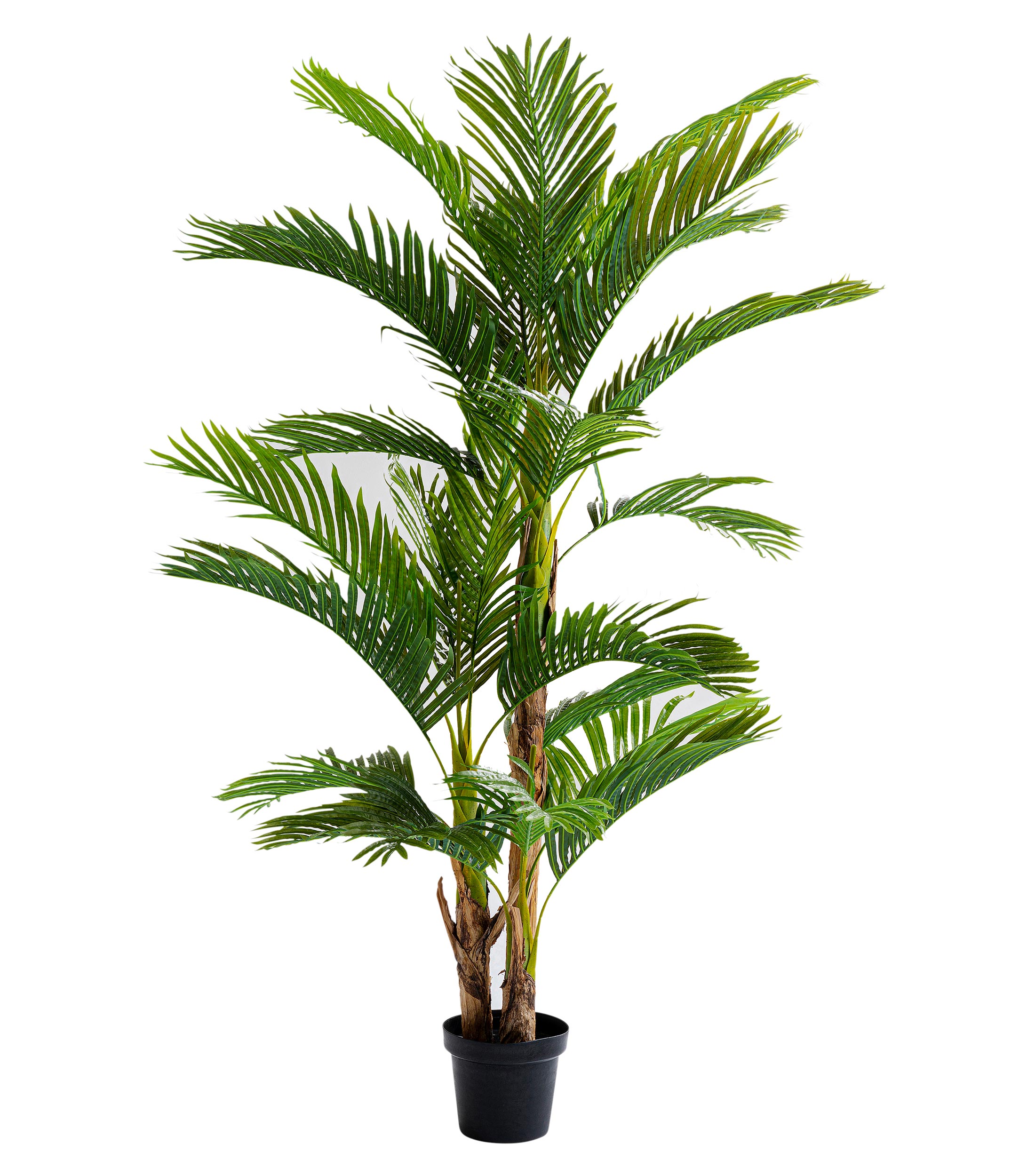 Planta decorativa Palm Tree
