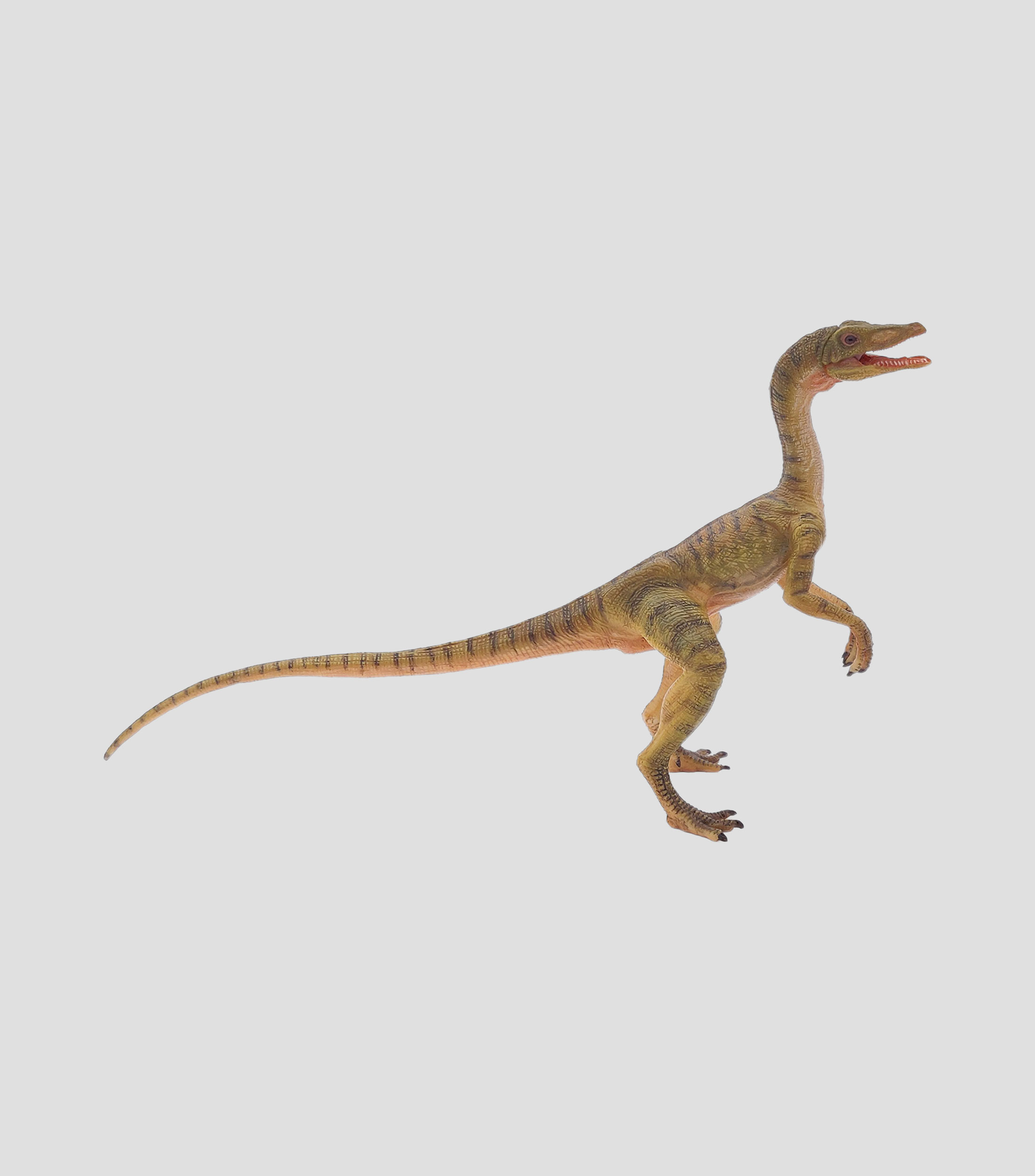 Compsognathus