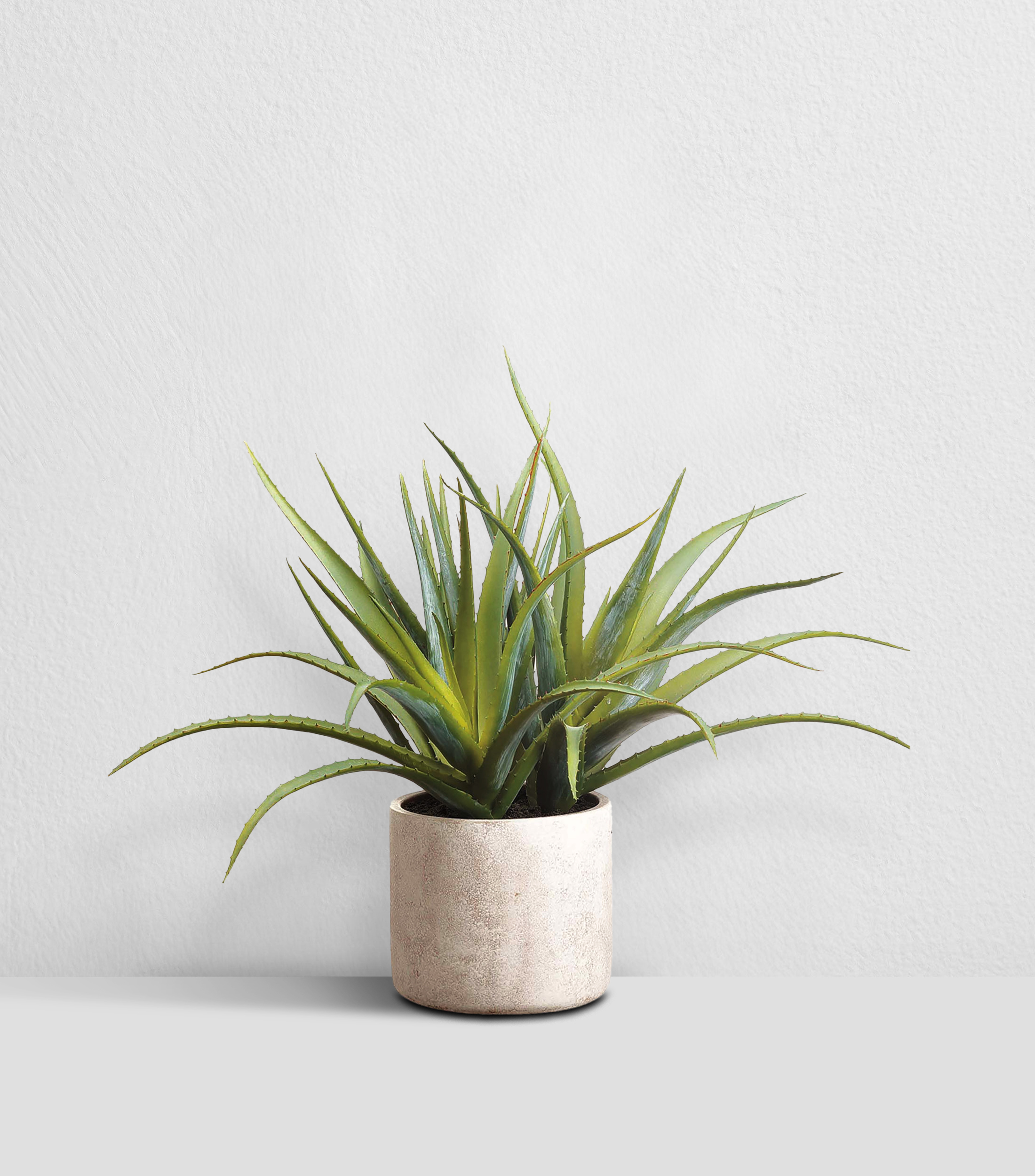 Planta decorativa Aloe en maceta artificial