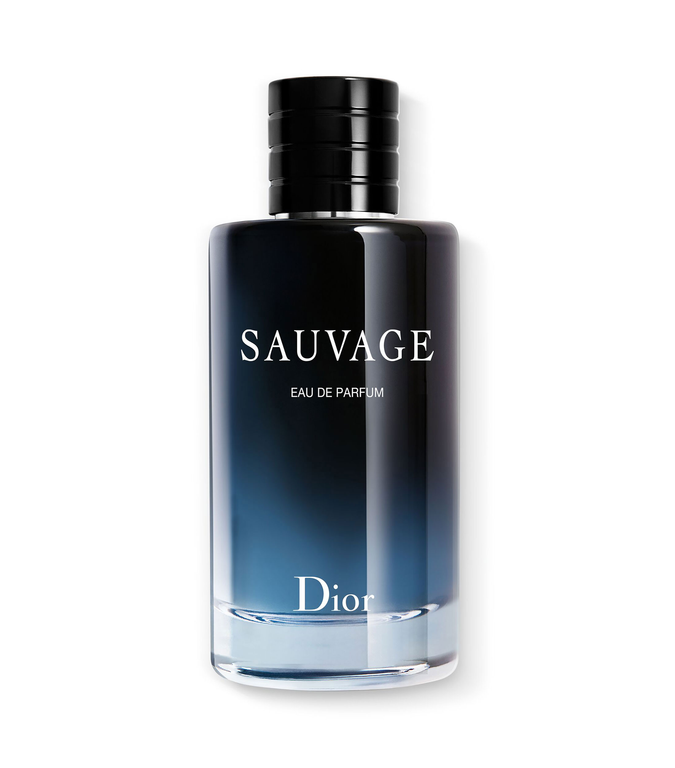 SAUVAGE, EAU DE PARFUM, 100 ML