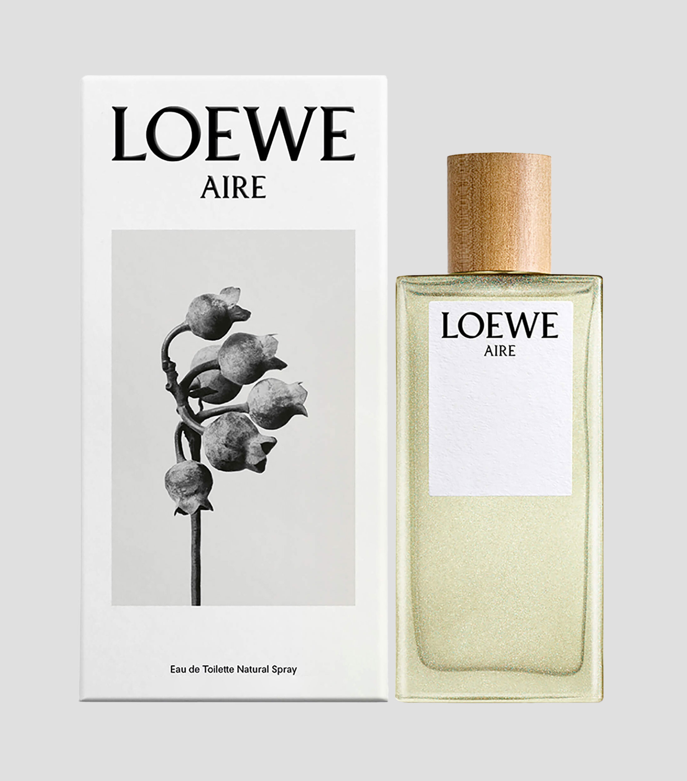 Perfume, Aire Eau de Toilette, 100 ml Mujer