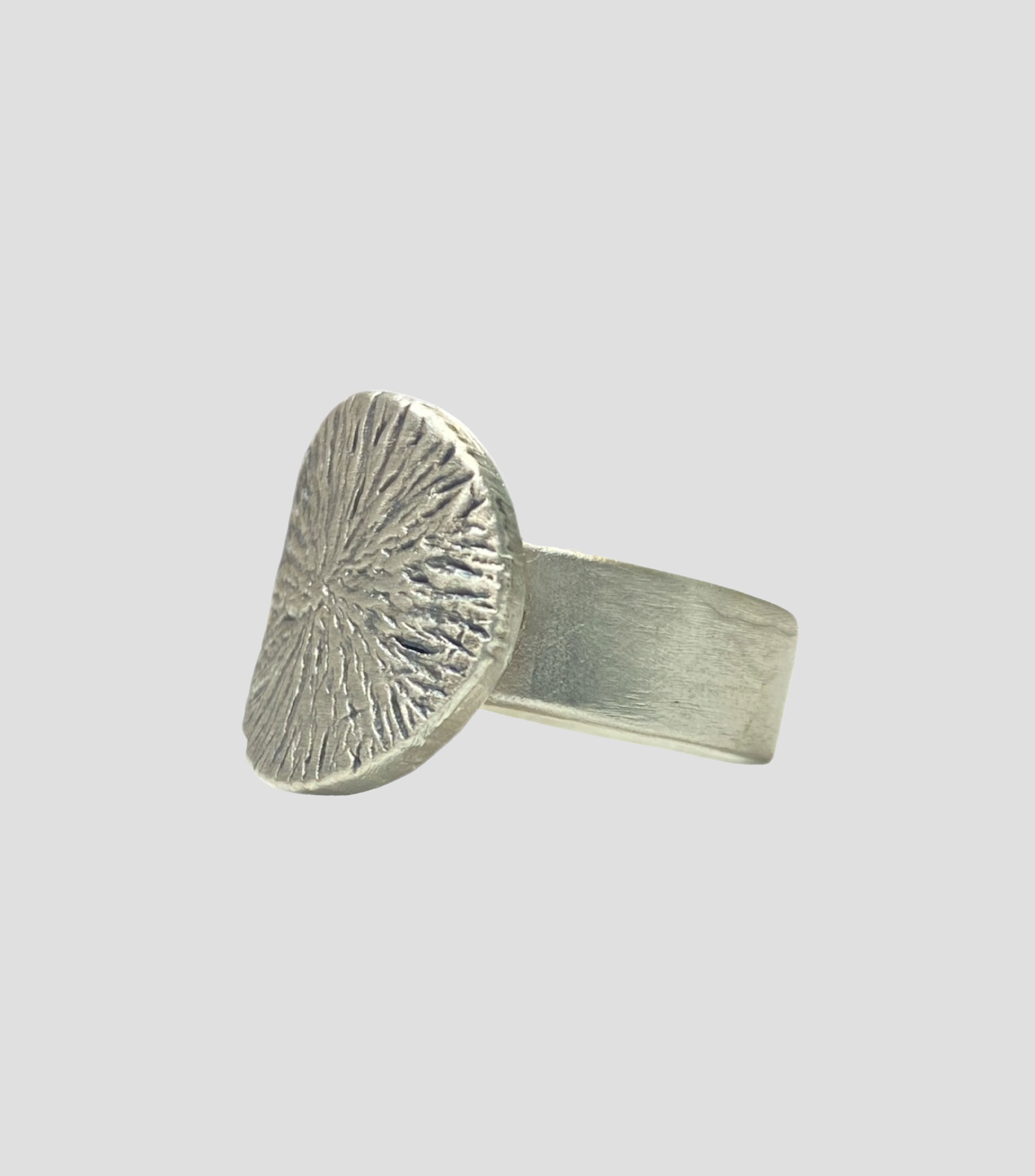 Anillo Circular en Plata .925 Hombre