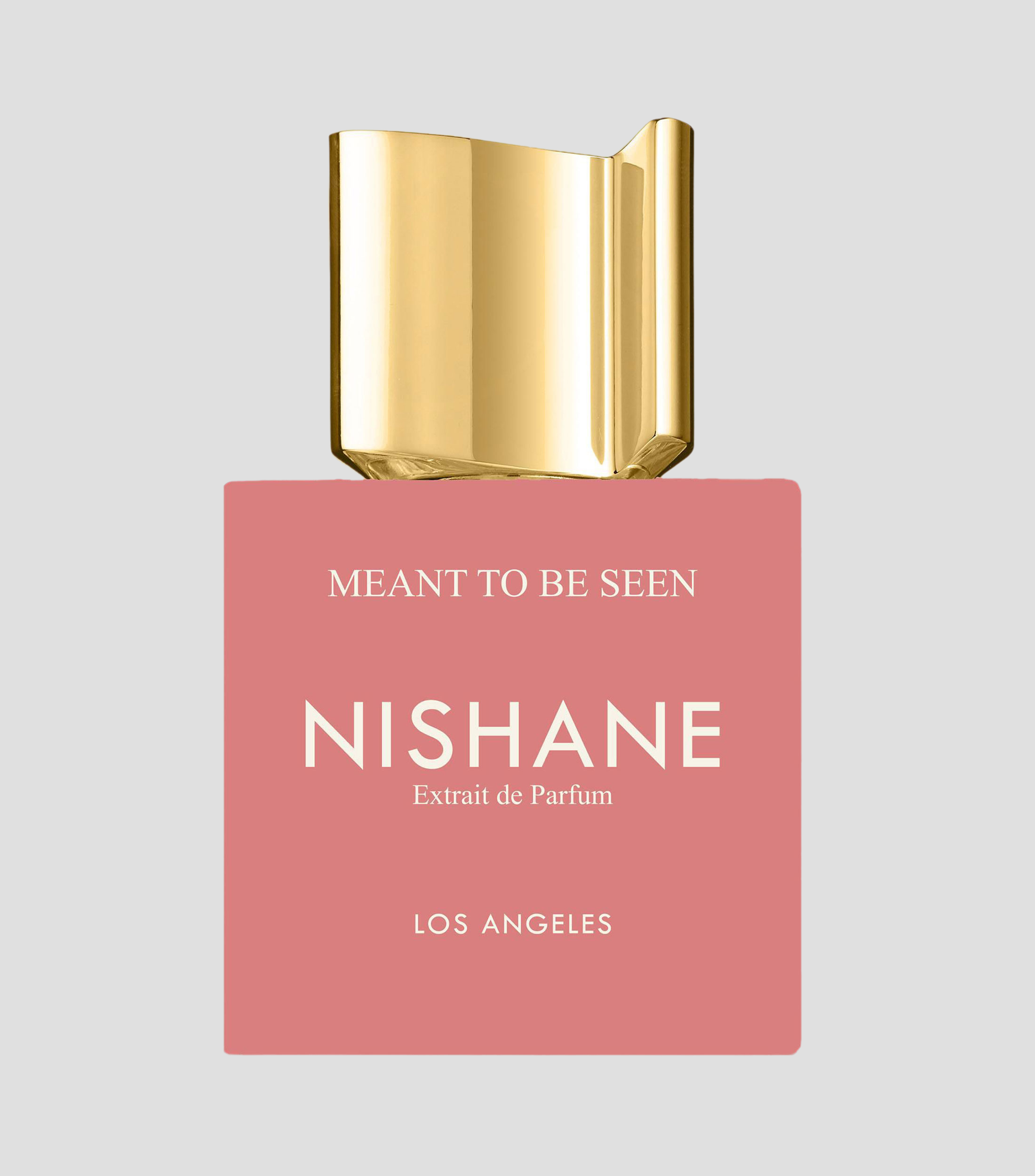 Perfume Meant to be Extrait de Parfum 100 ml Unisex
