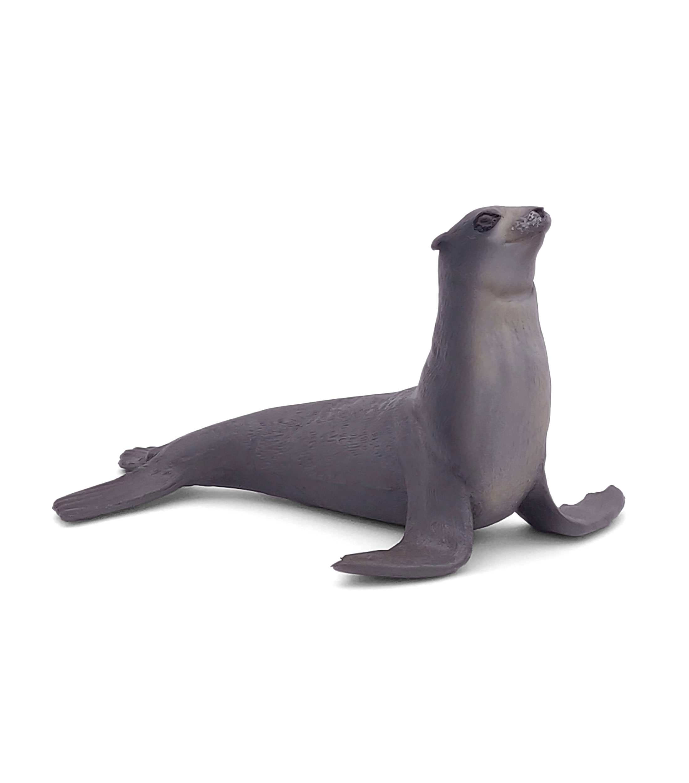 Figura de León Marino