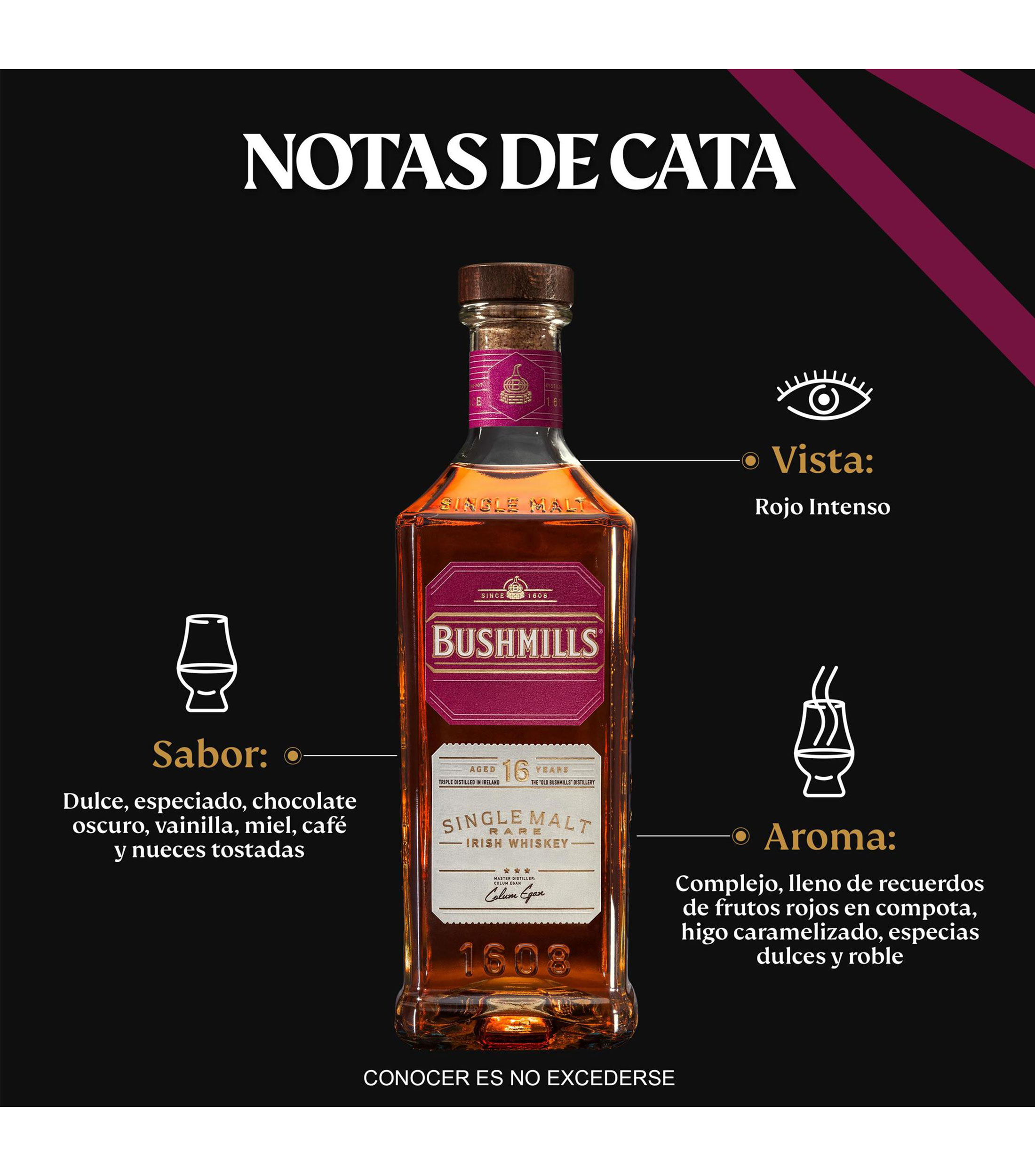 Whiskey Single Malt 16 Anos, 750 ml