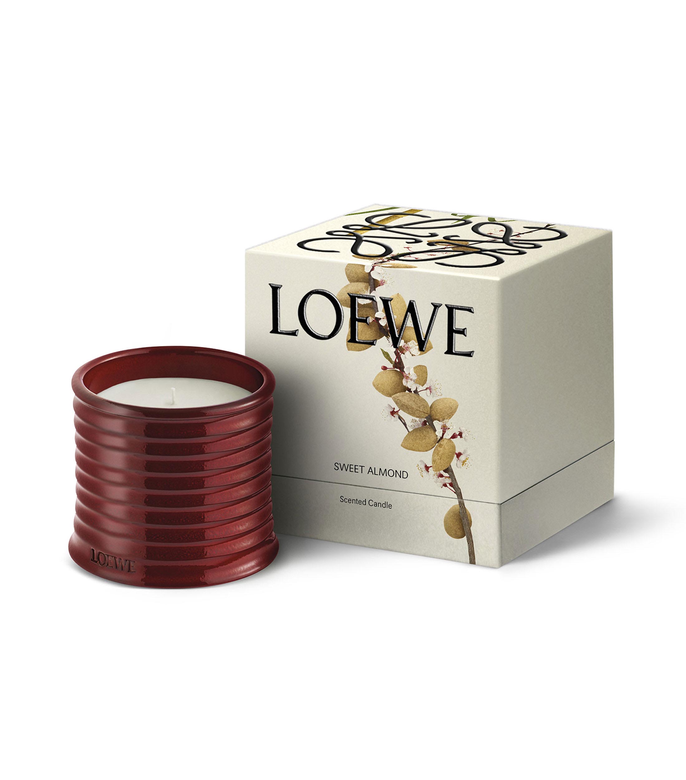 LOEWE Vela Midi Sweet Almond