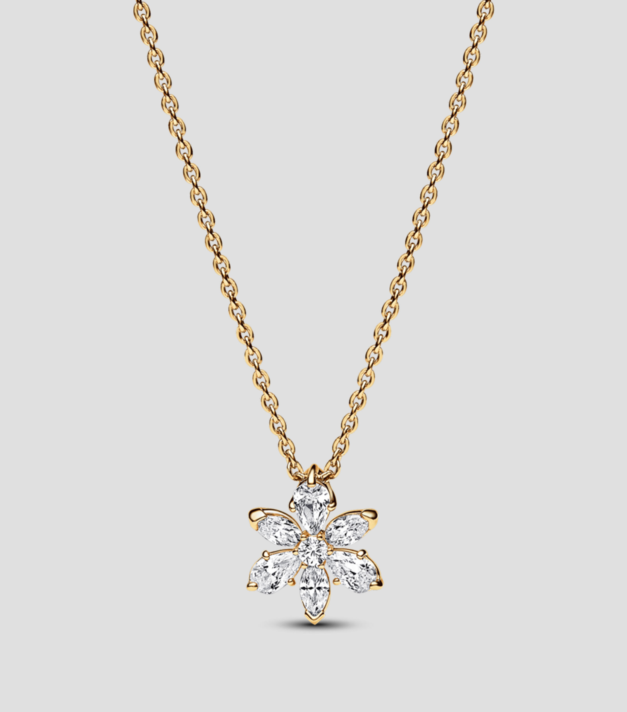 Collar en plata Herbario Pandora Timeless Mujer
