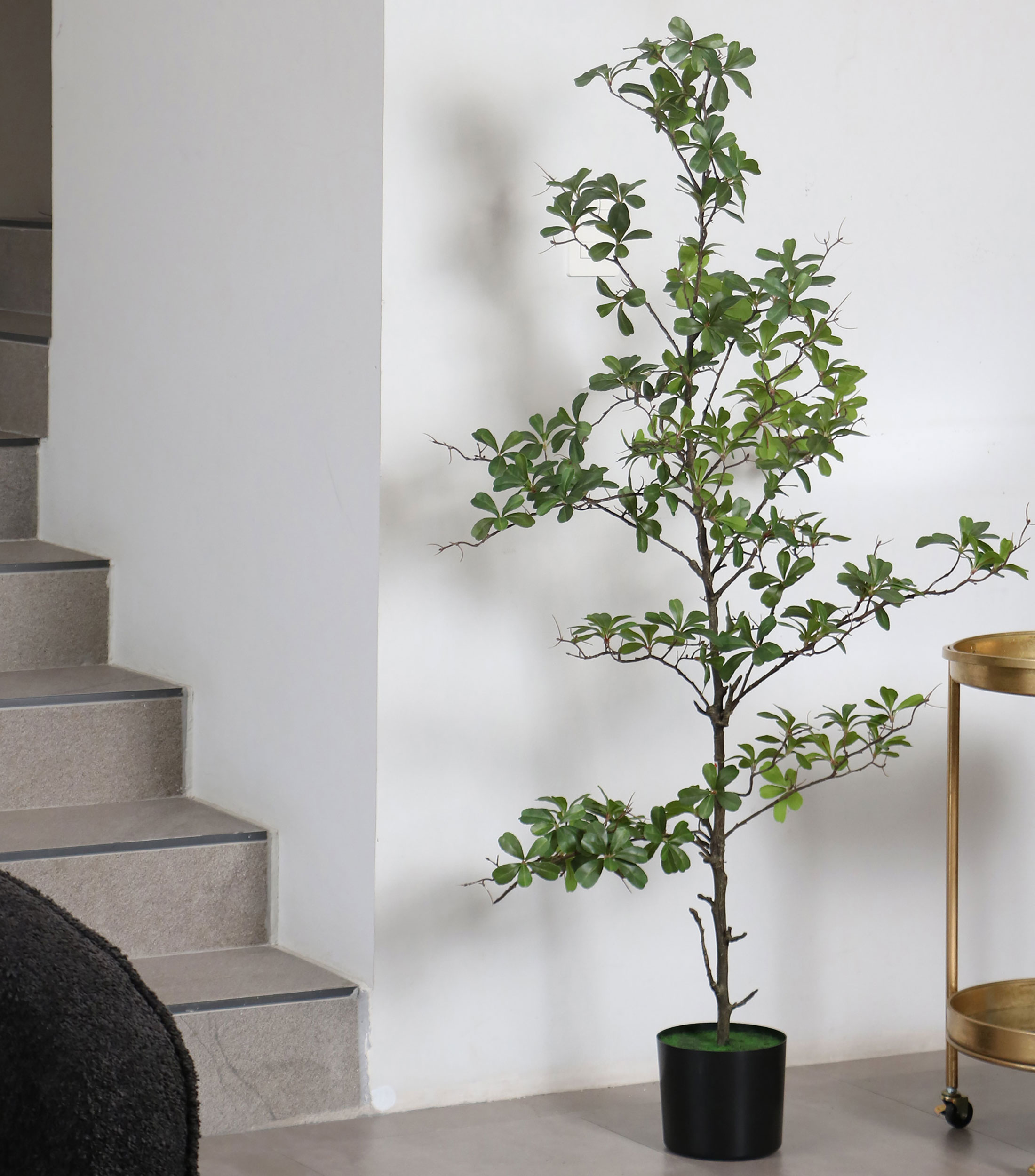 Árbol decorativo de Terminalia chico artificial