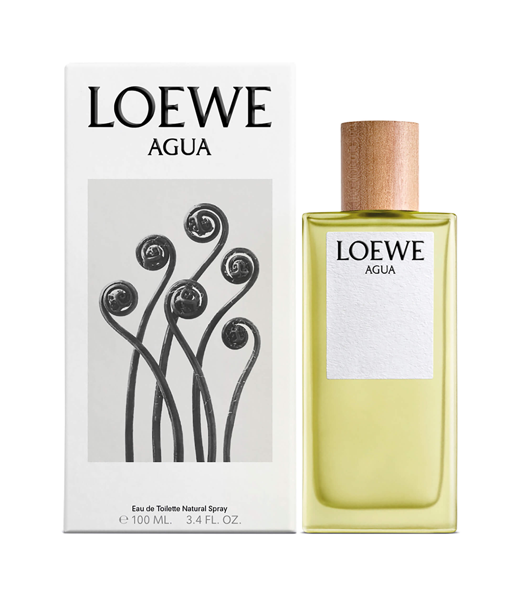 LOEWE AGUA EDT 100 ML