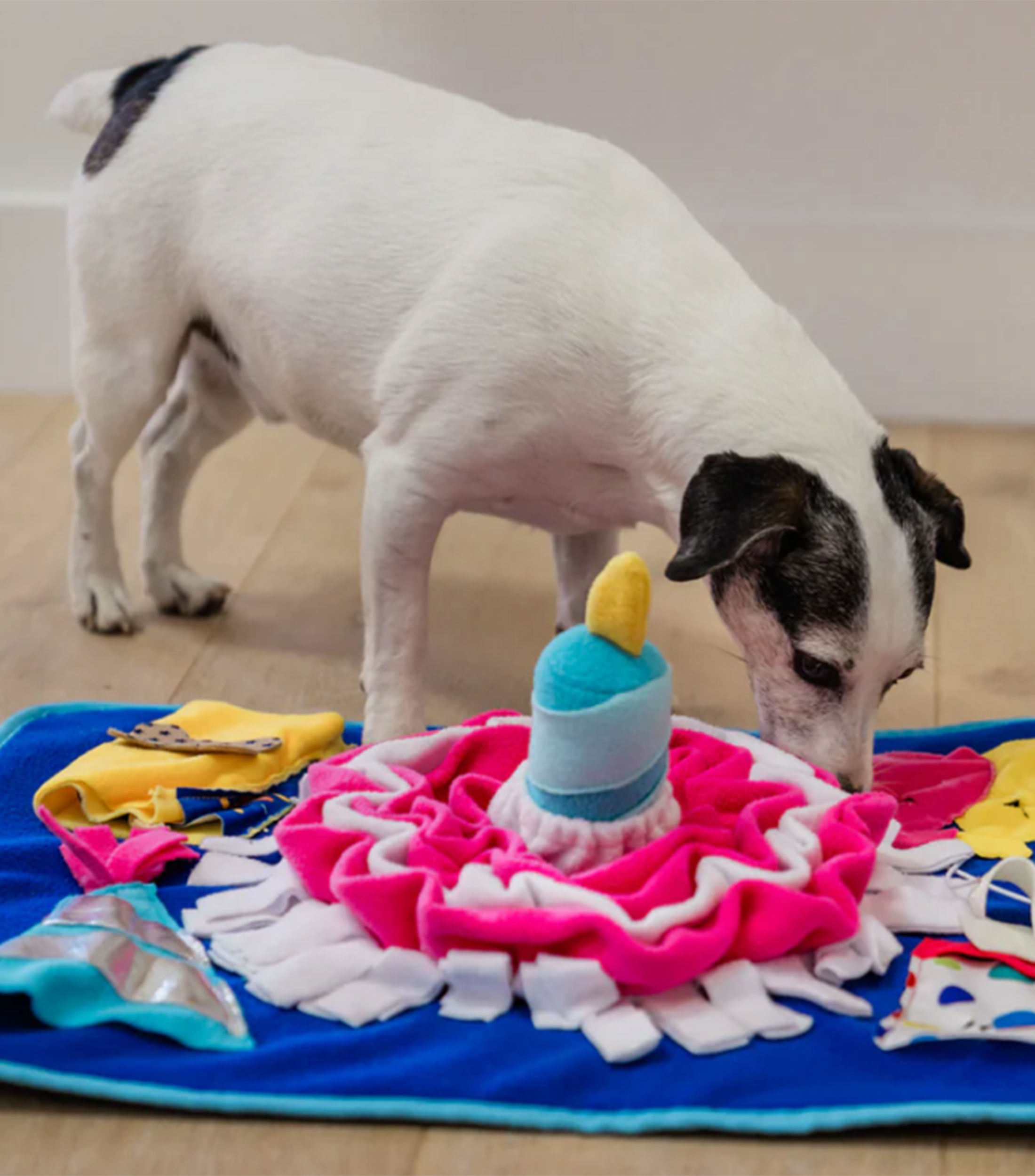 Tapete Olfativo Cumpleaños para Perro