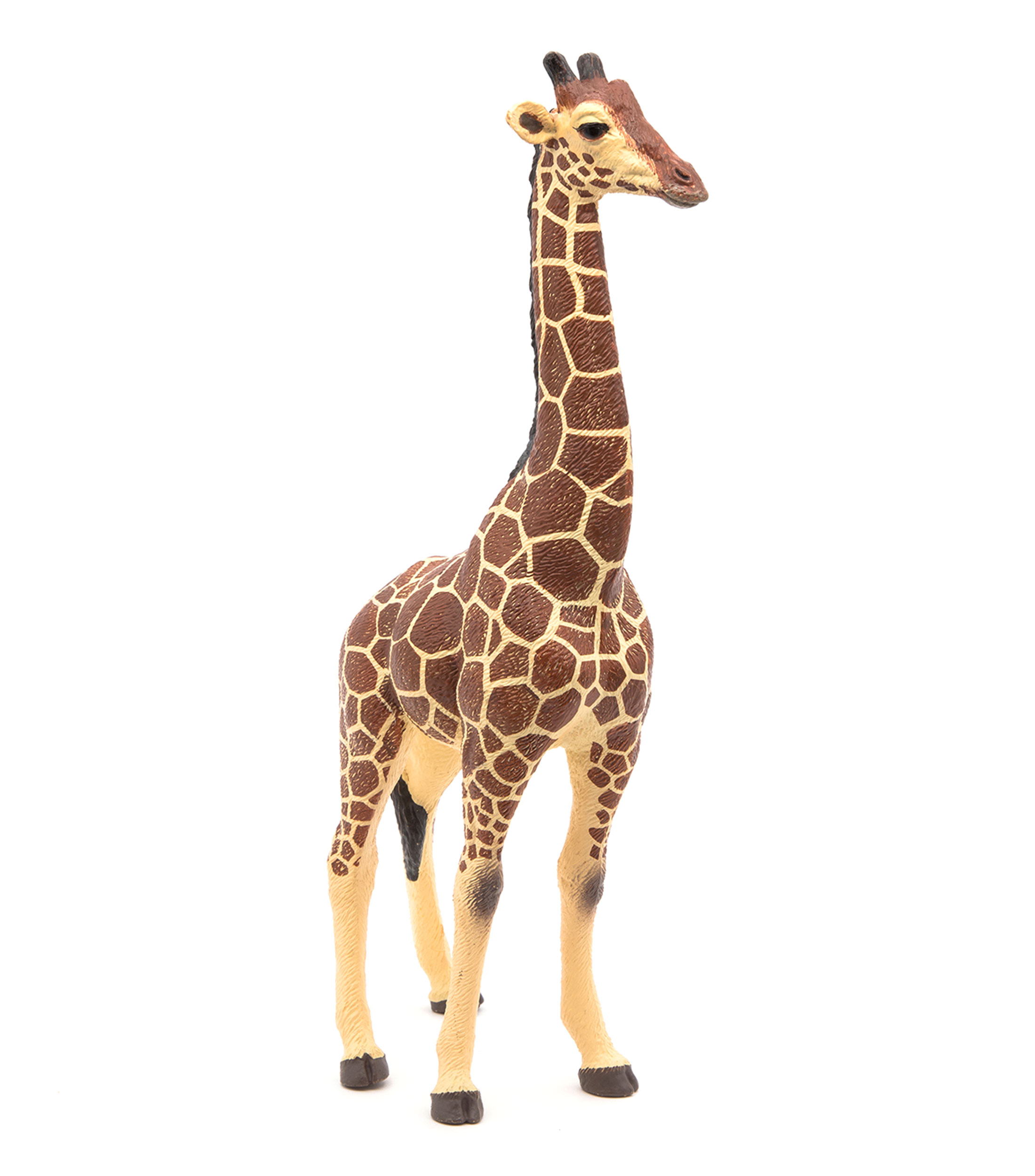Figura Jirafa macho