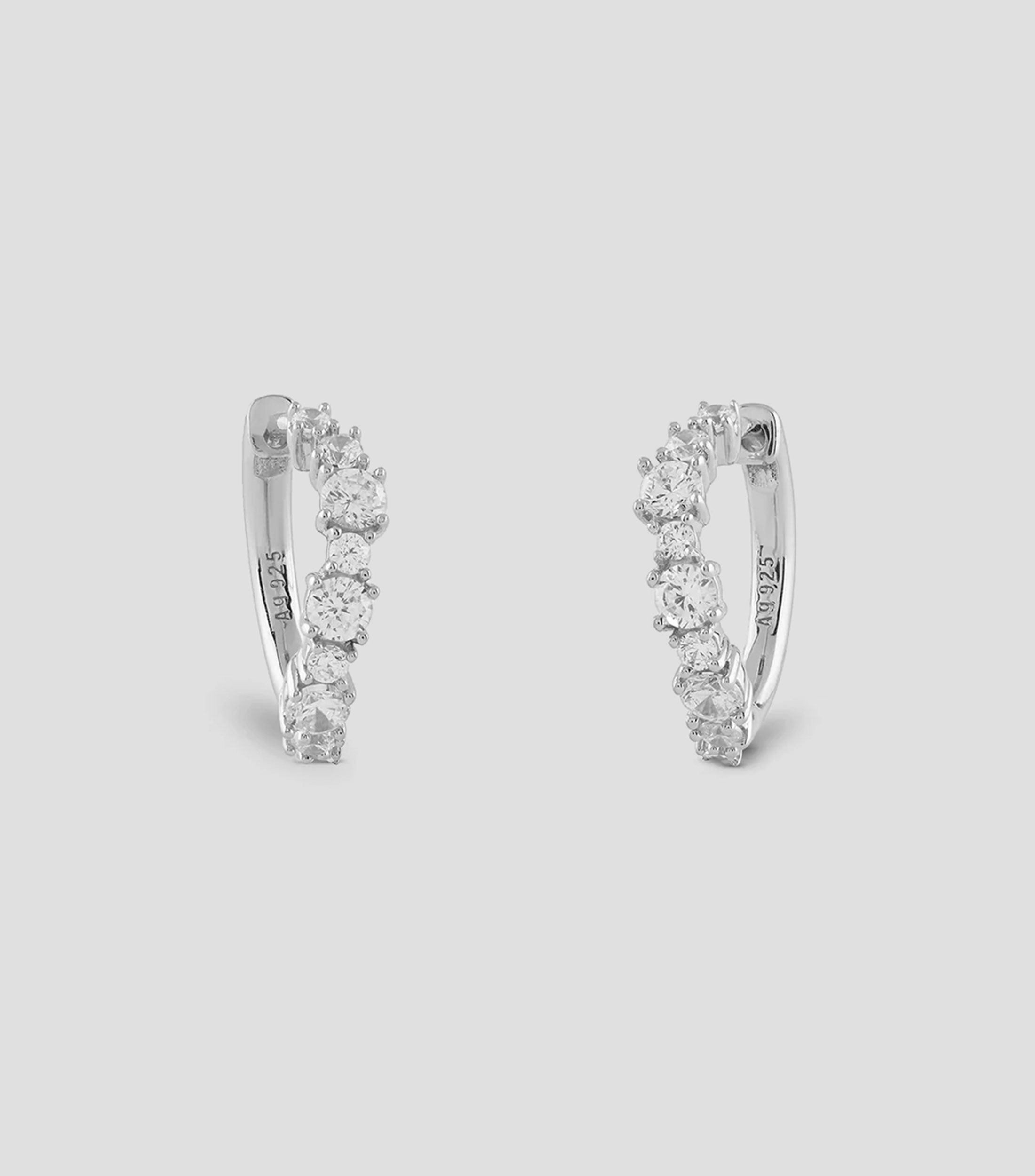 Aretes en Plata Jardín Mujer Guess