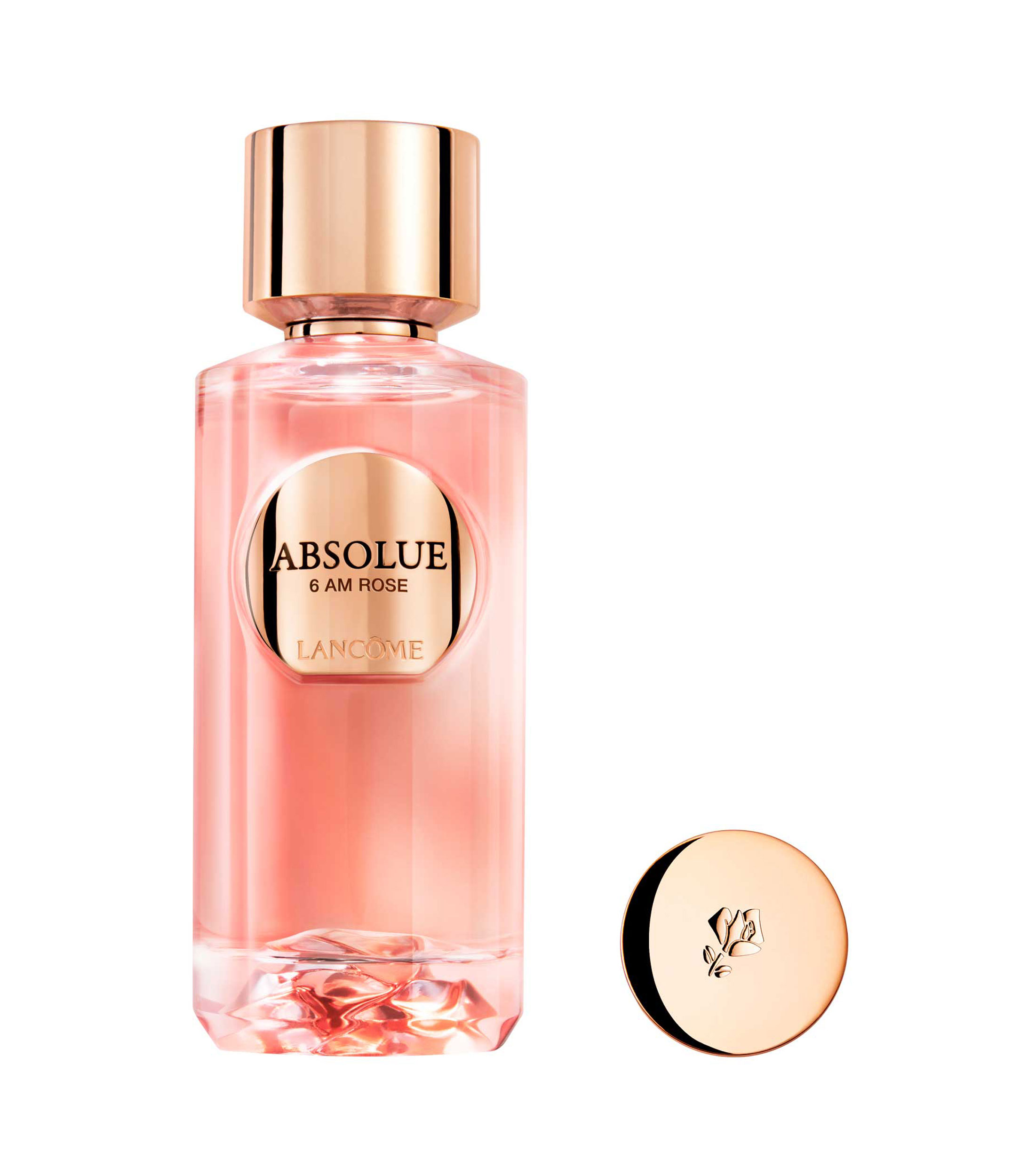 Perfume Absolue 6 AM Rose, Eau de Parfum, 100 ml Unisex