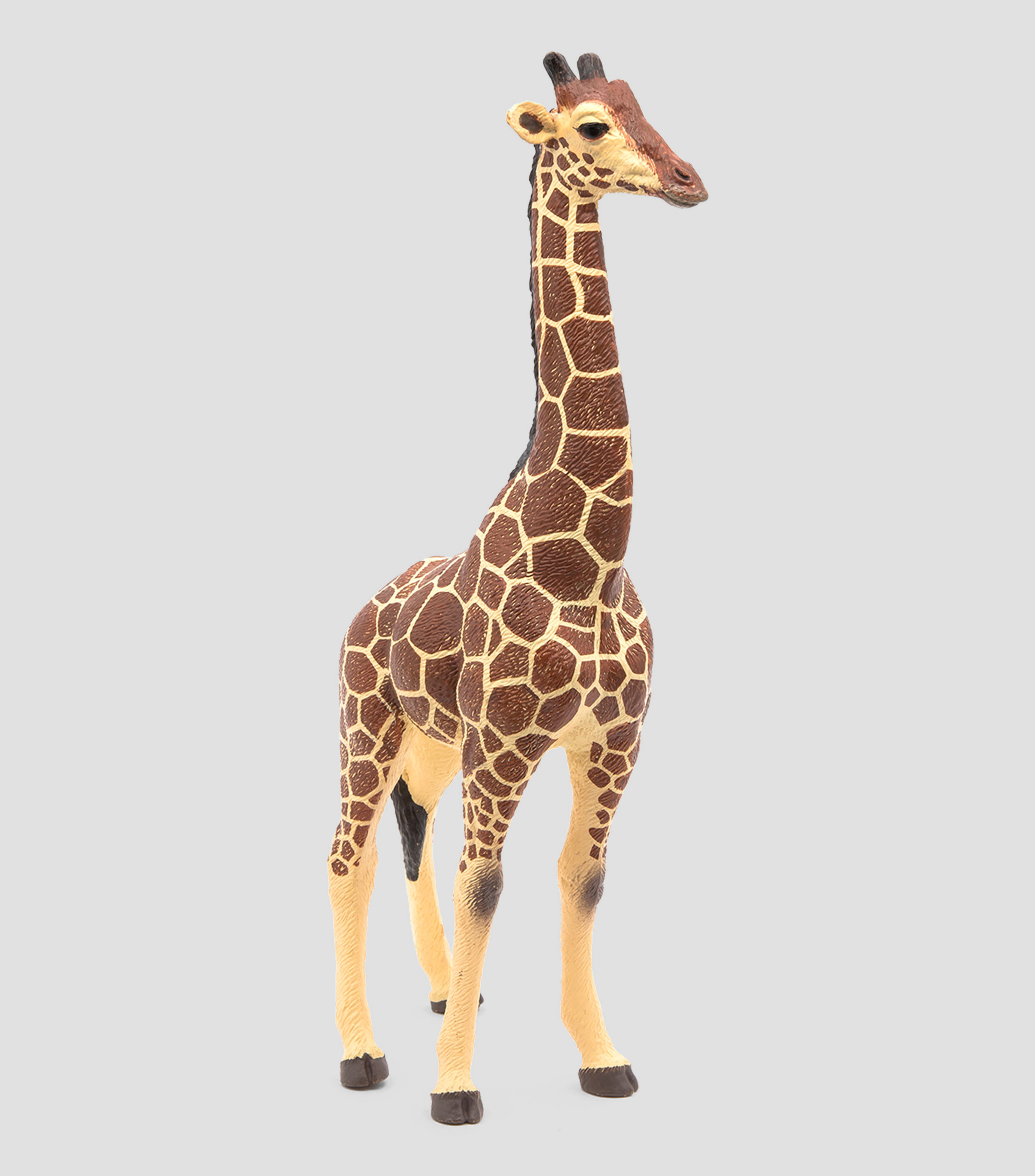Figura Jirafa macho