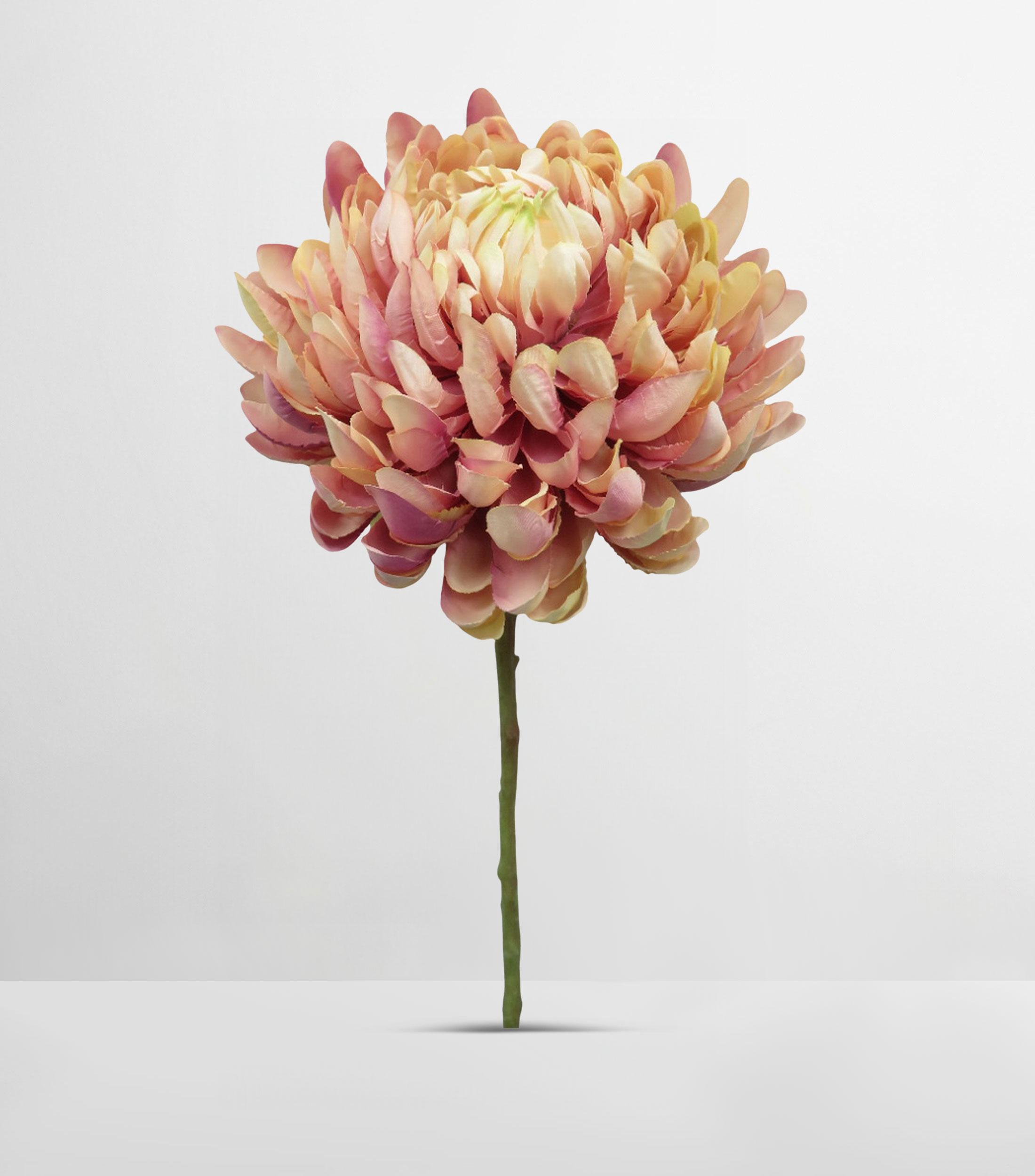 Flor Crisantemo decorativa Malva Ivory, Artificial