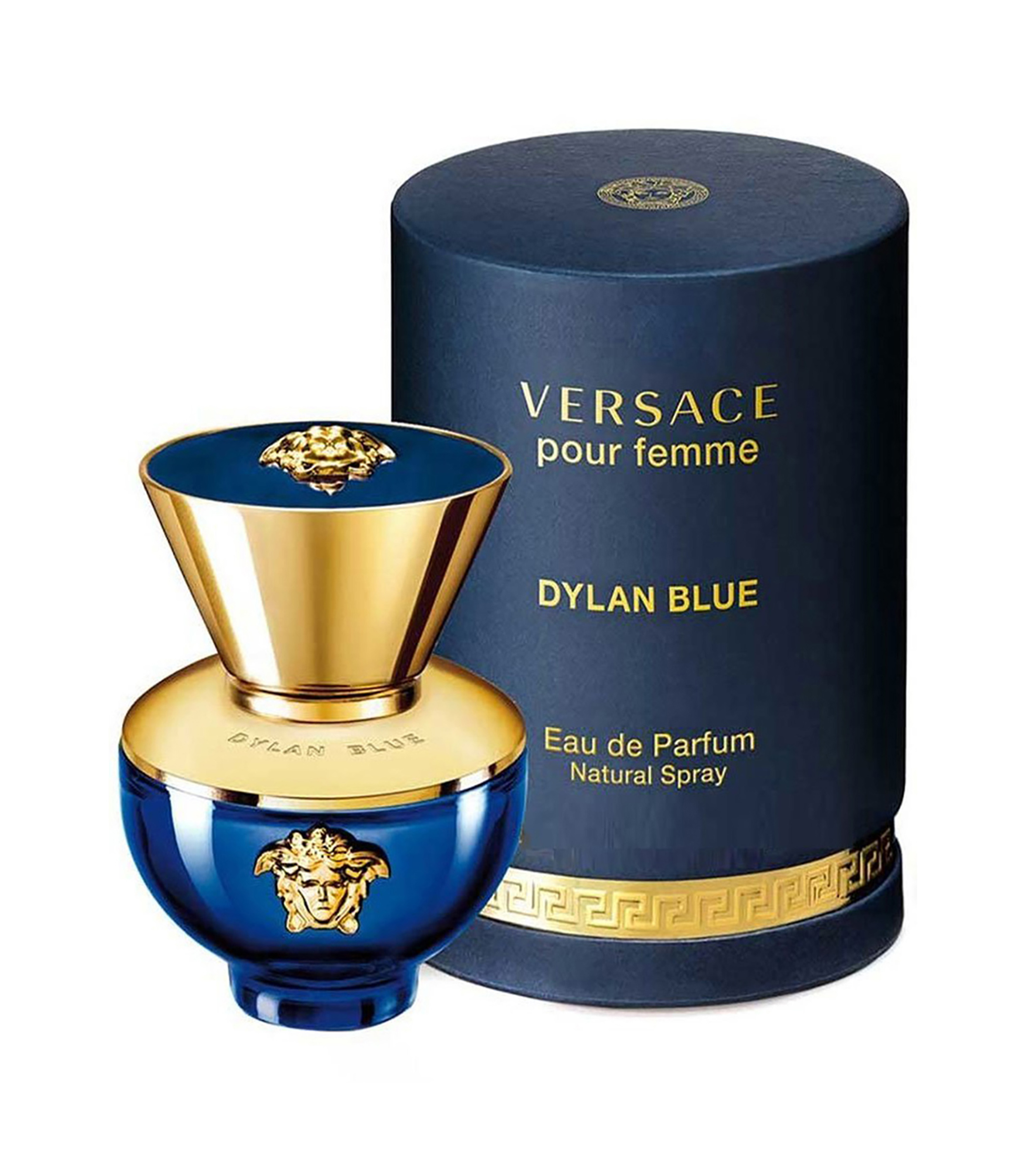 Perfume, Dylan Blue Pour Femme Eau de Parfum, 100 ml Mujer