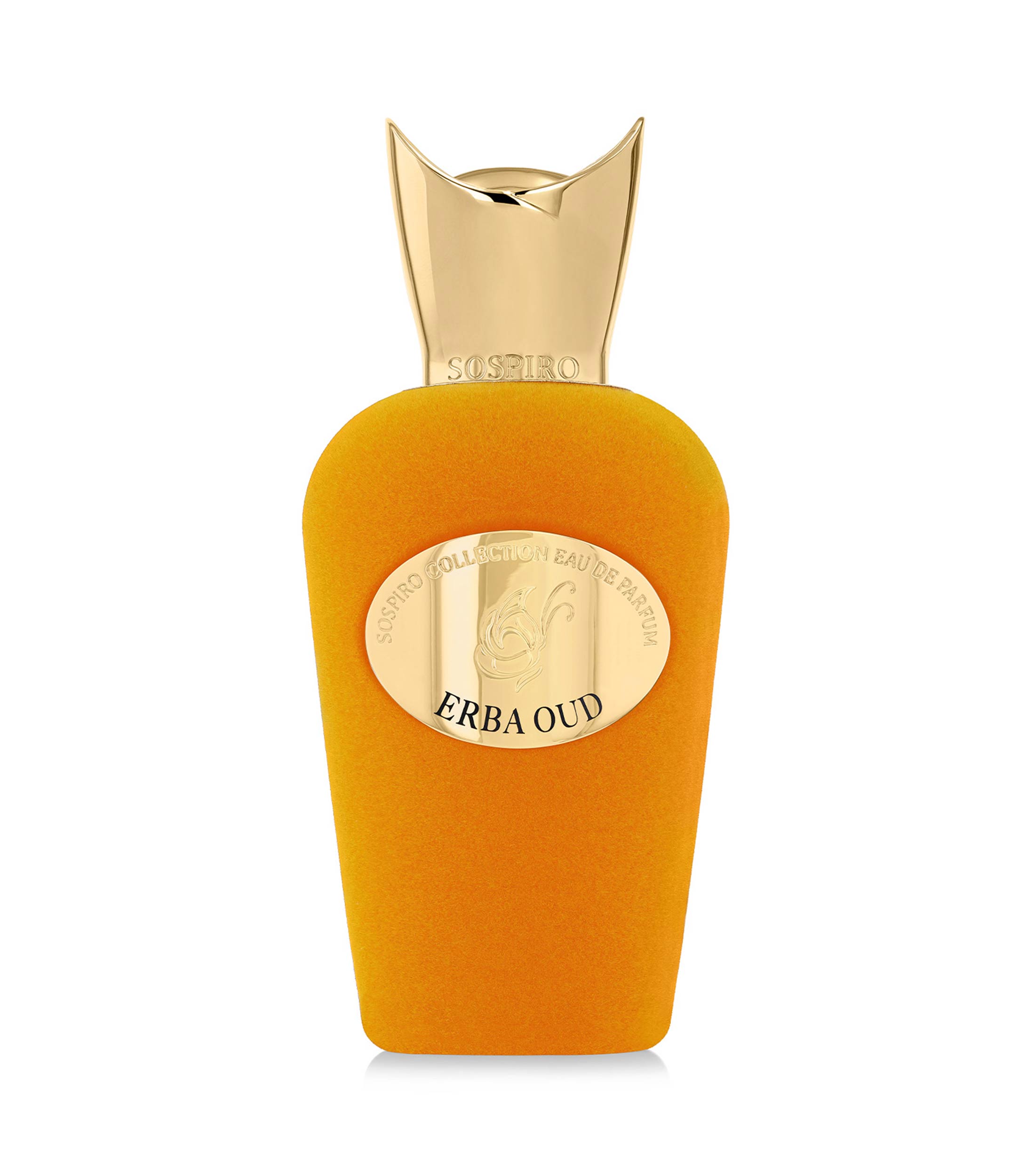 Perfume Erba Oud, Eau De Parfum 100 ml Unisex
