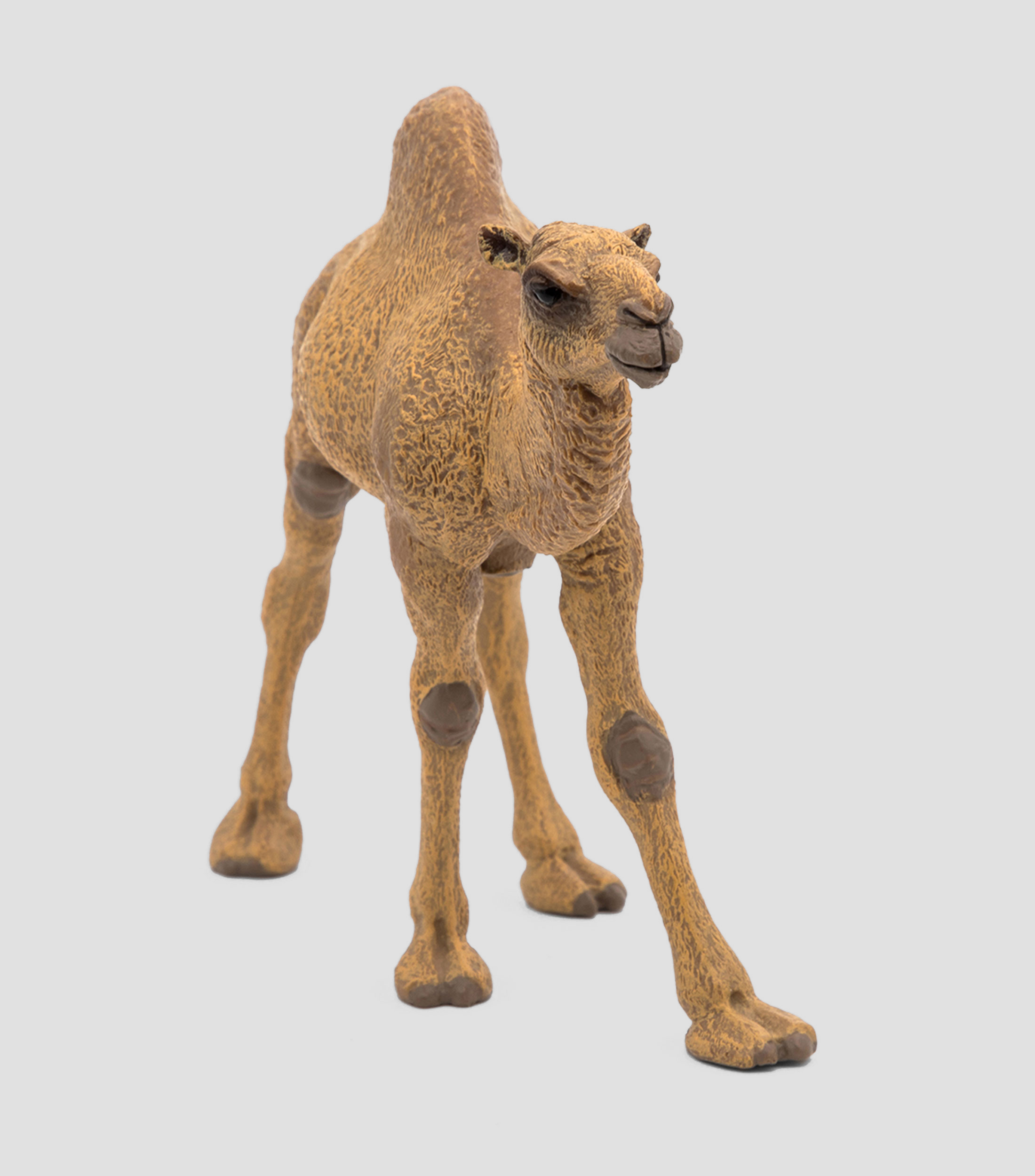 Figura Dromedario