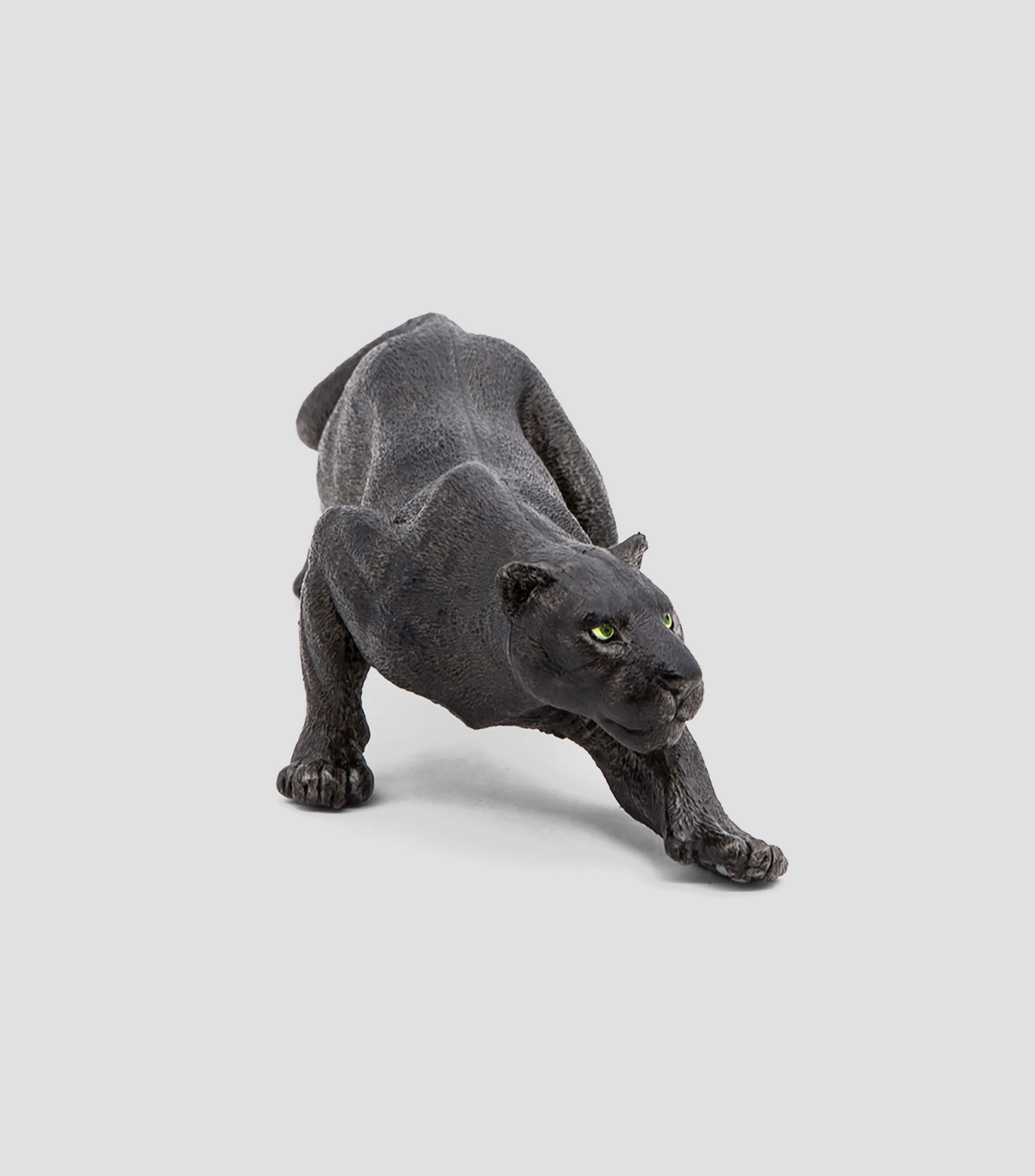Pantera negra