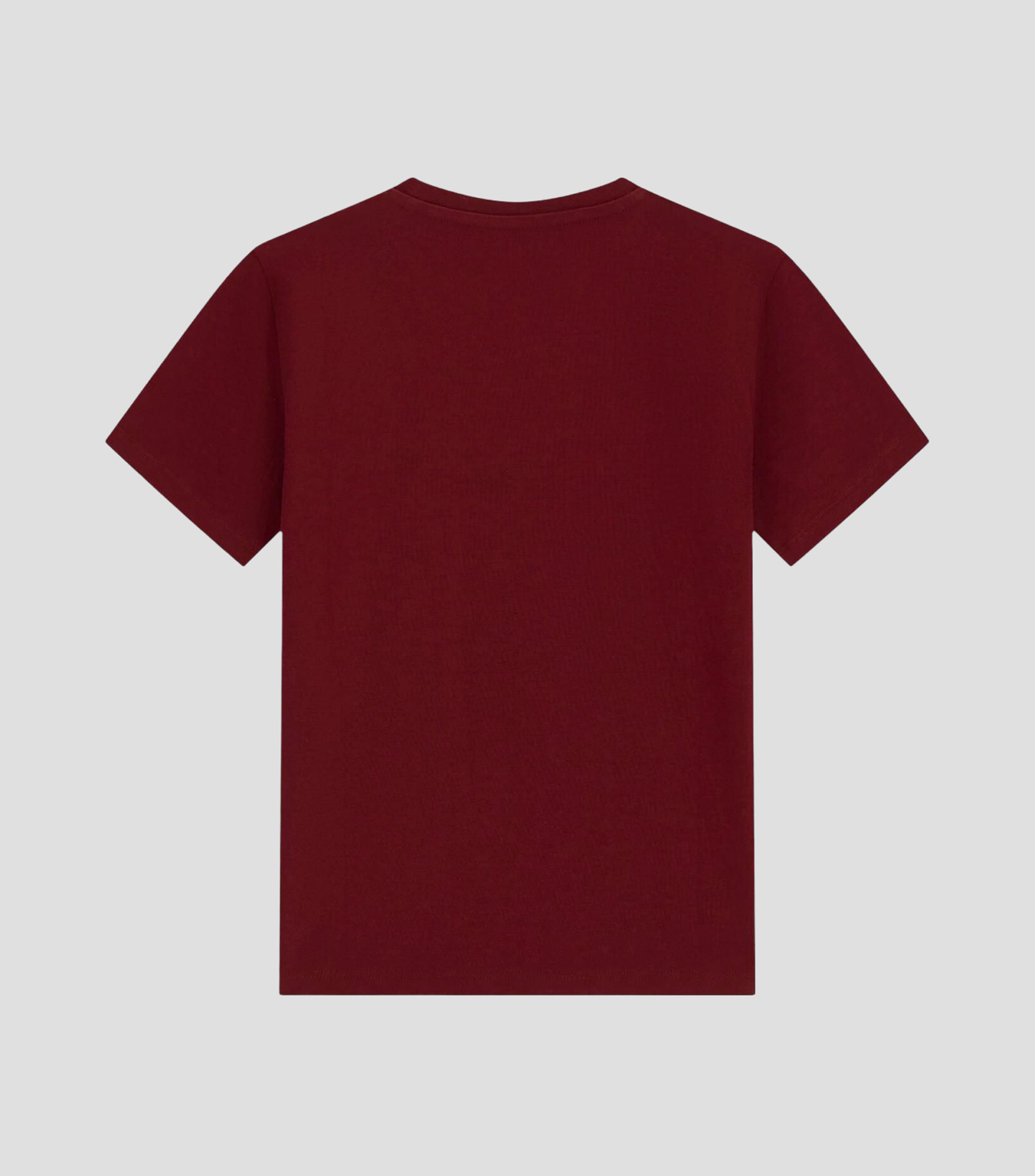 Playera cuello redondo manga corta con estampado Niño
