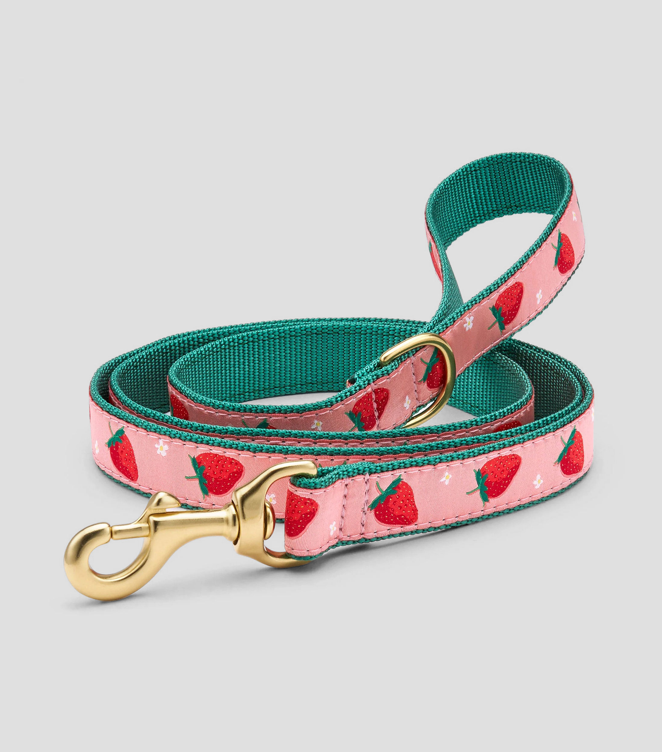 Correa ancha para perro Strawberry Fields