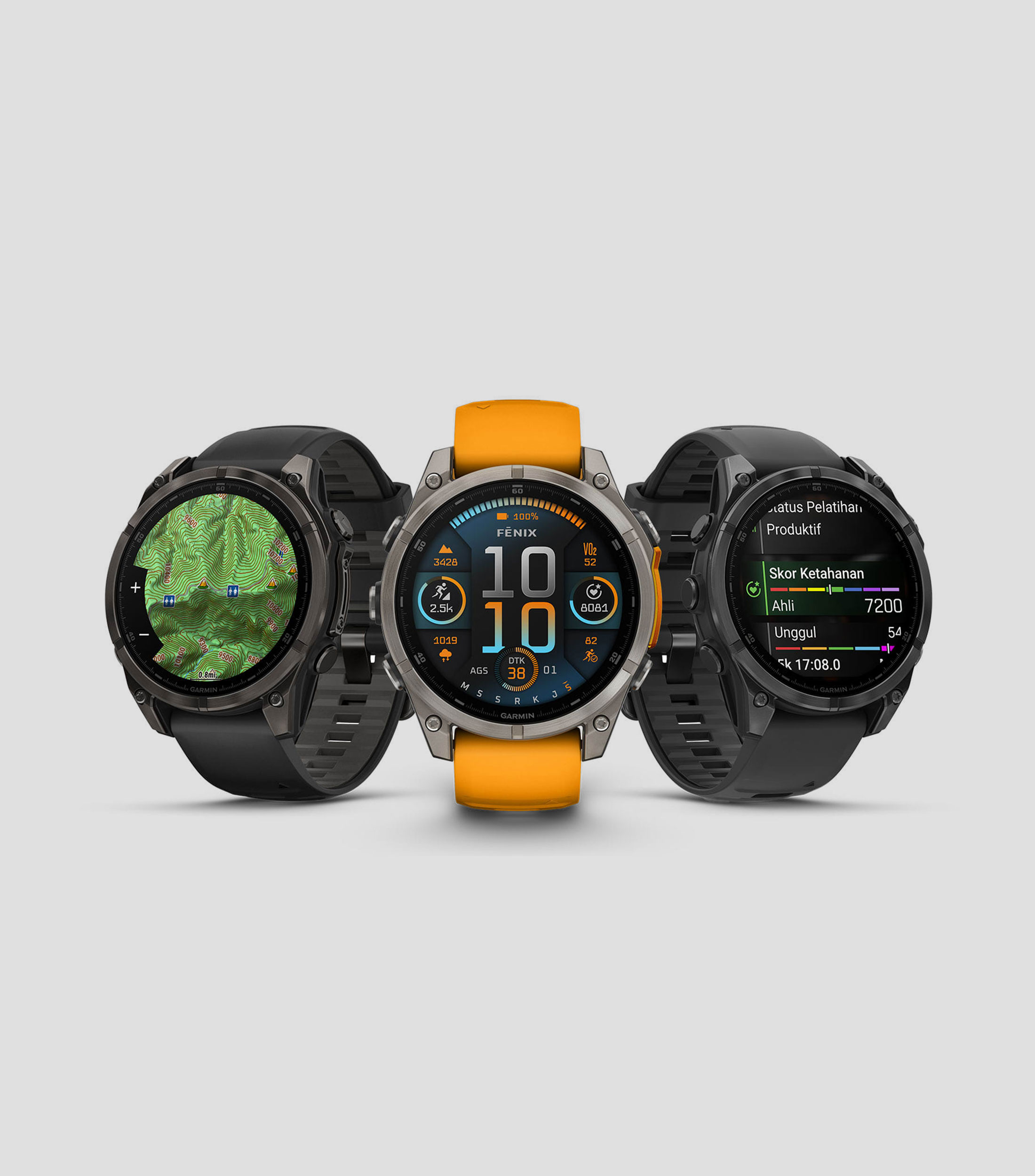 Monitor para entrenamiento Fénix