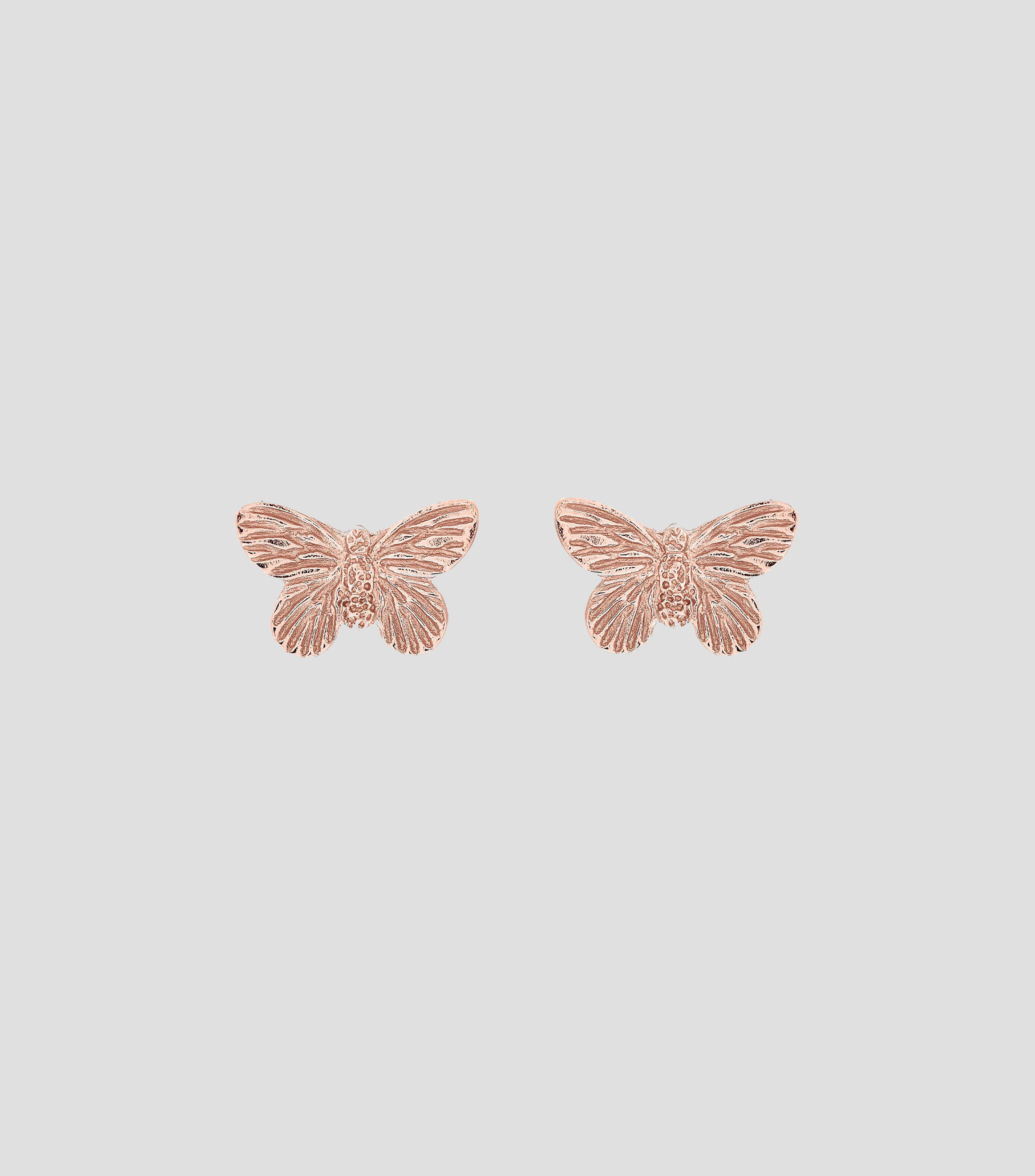 Aretes mariposa en Plata 3D Butterfly Mujer