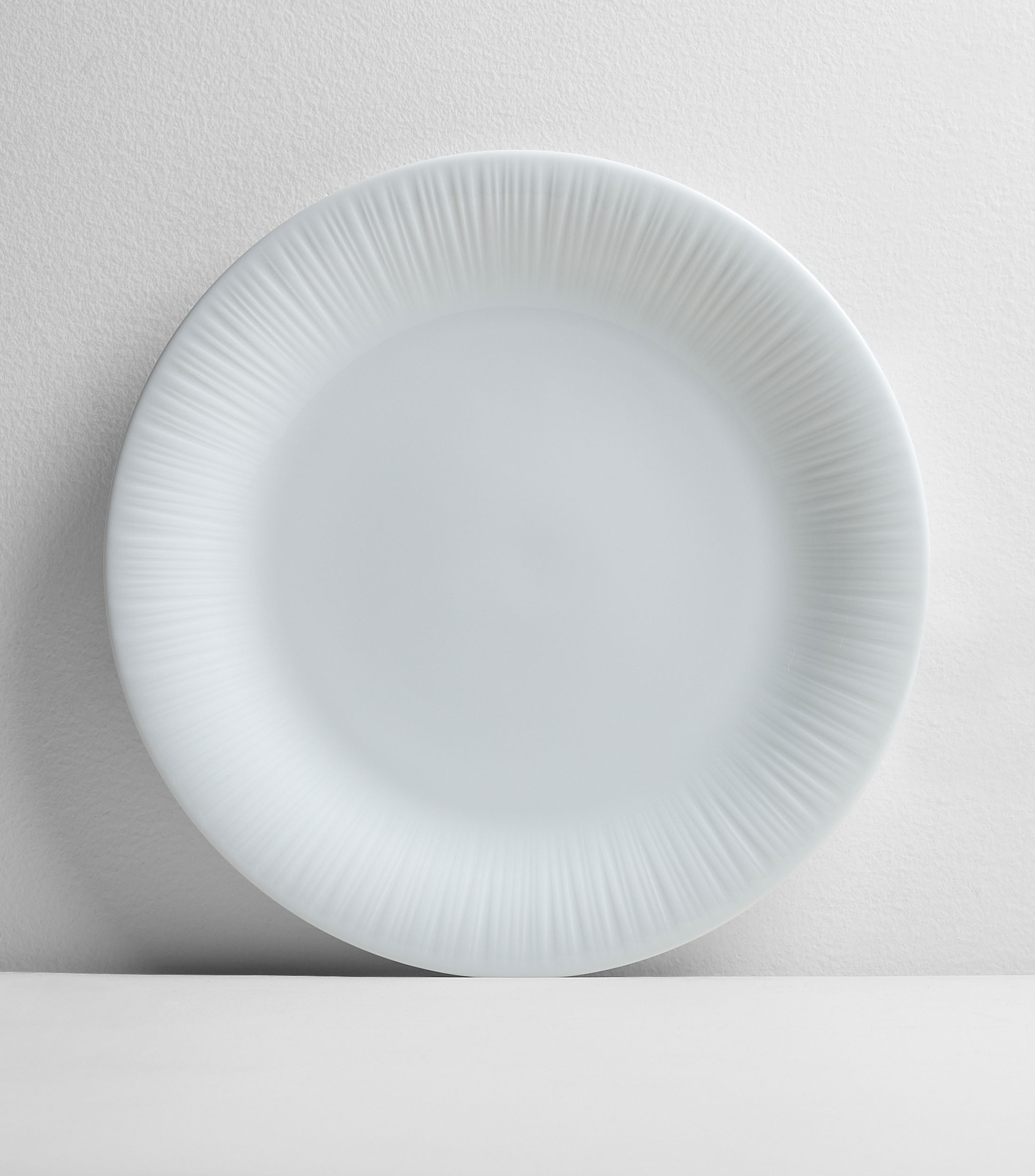 Plato base Conifere