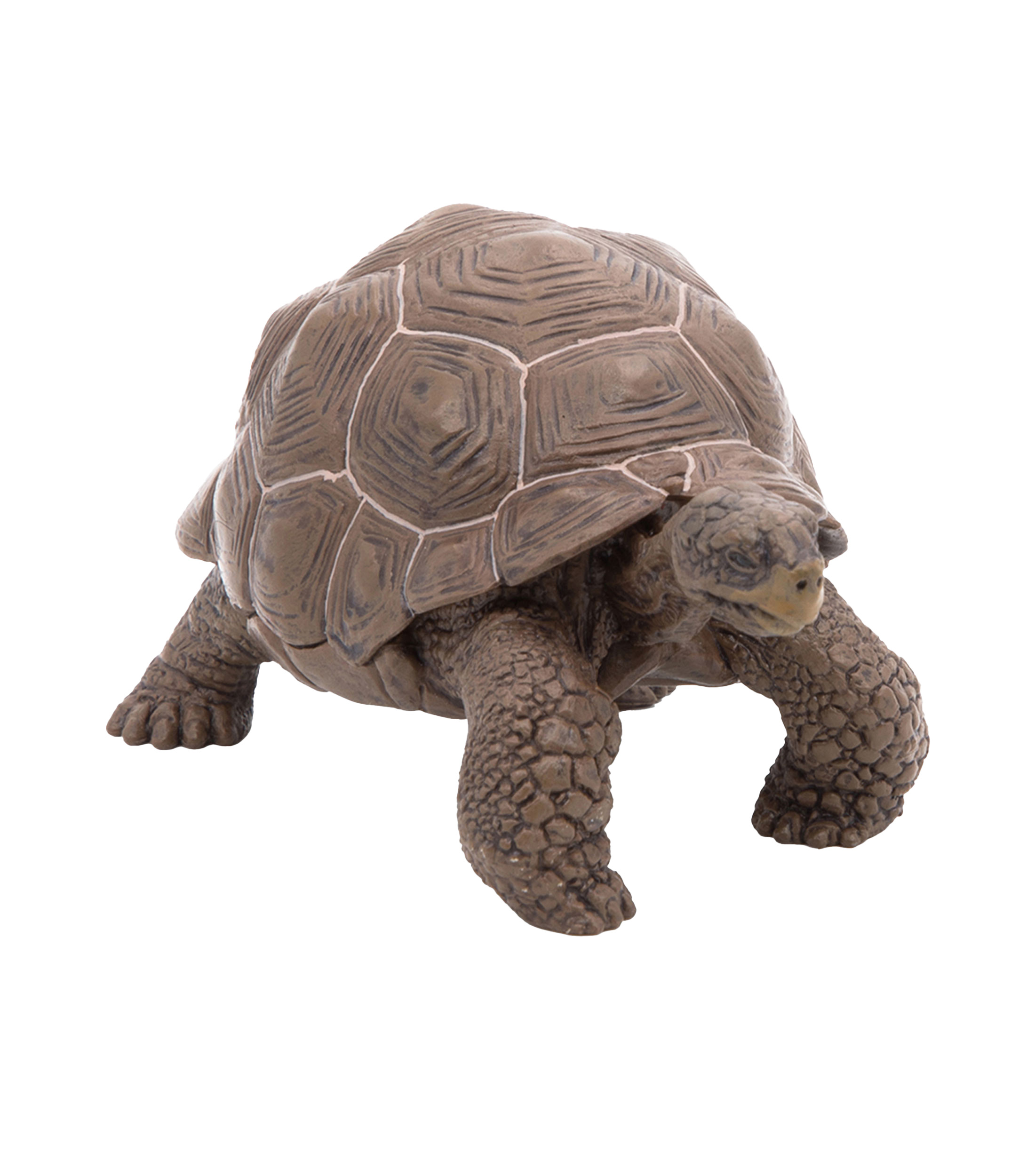 Figura Tortuga galápagos