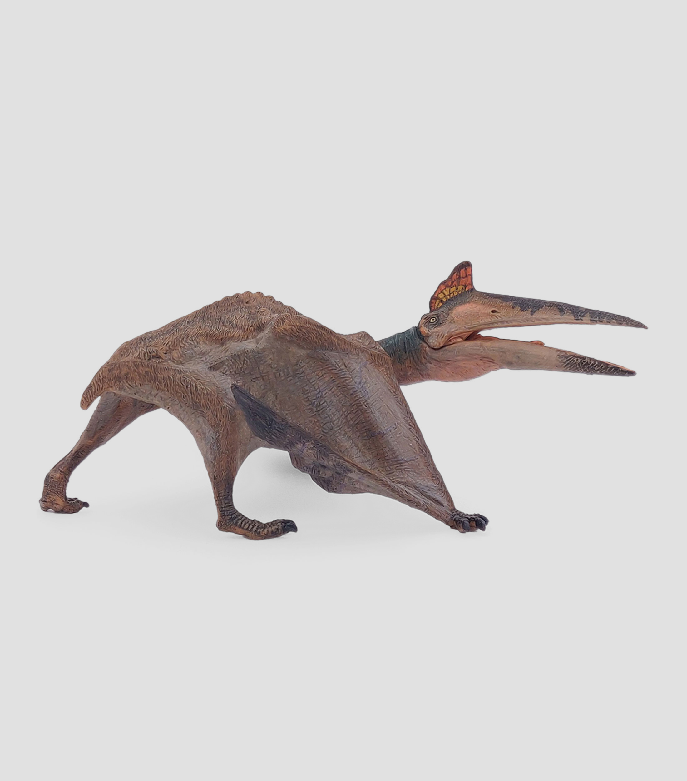 Quetzalcoatlus