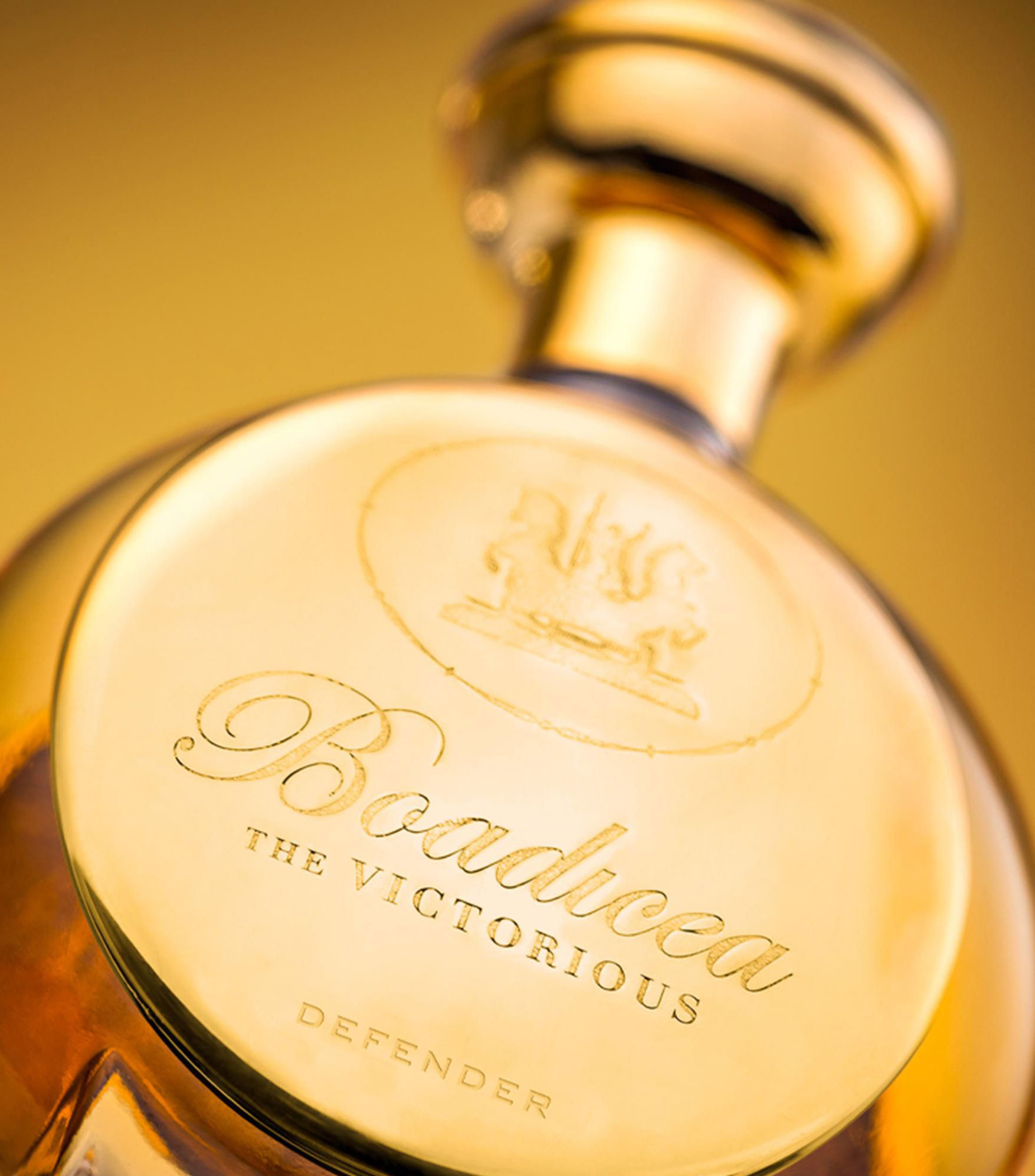 Perfume Defender, Eau de Parfum 100 ml Unisex