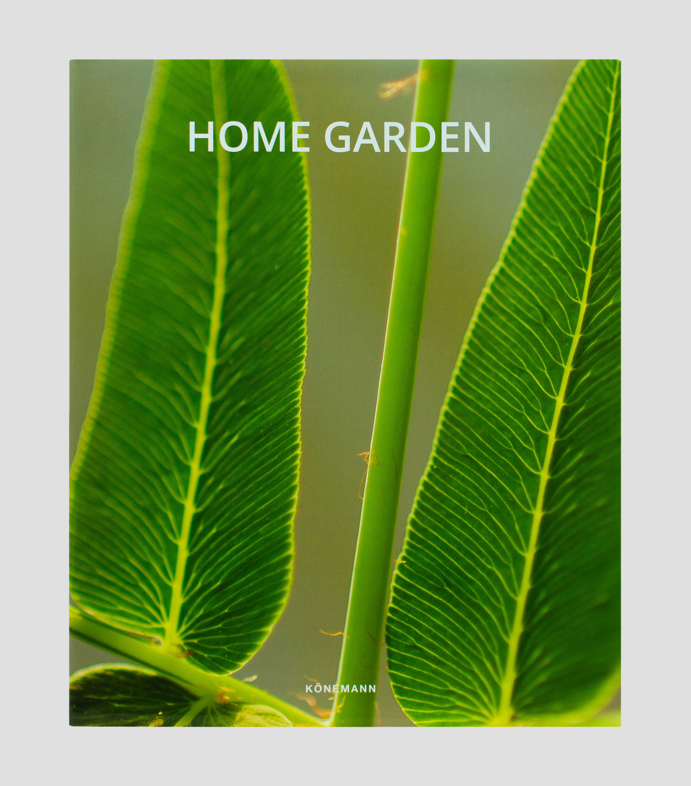 Arte Y RecreaciónHome Garden, Varios Autores
