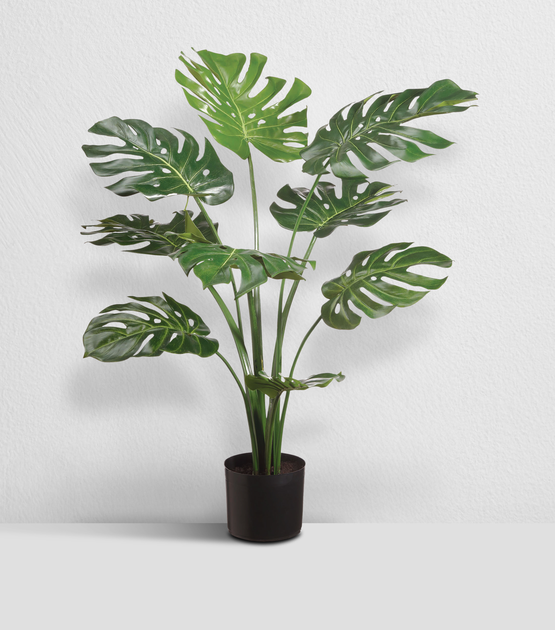 Planta Phlio en maceta en sintético