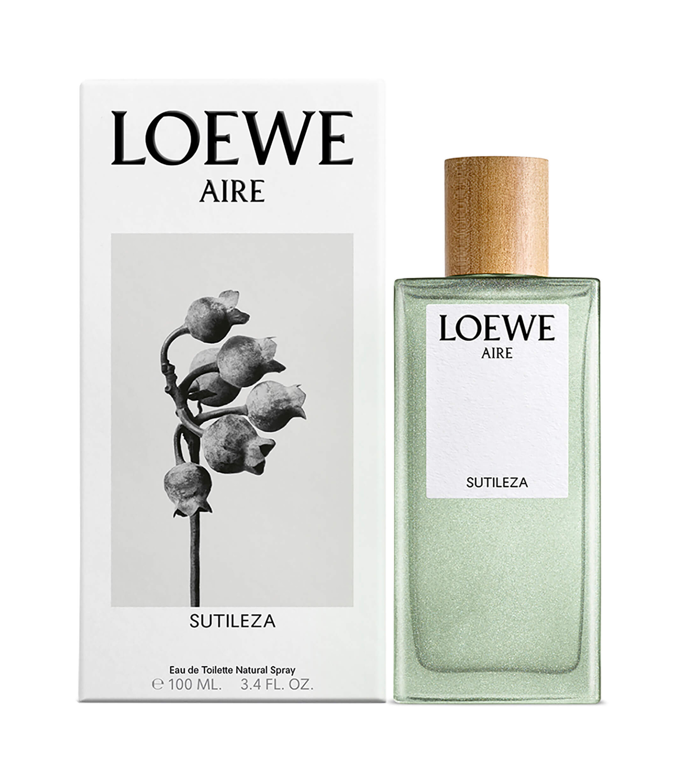 LOEWE AIRE SUTILEZA EDT 100 ML