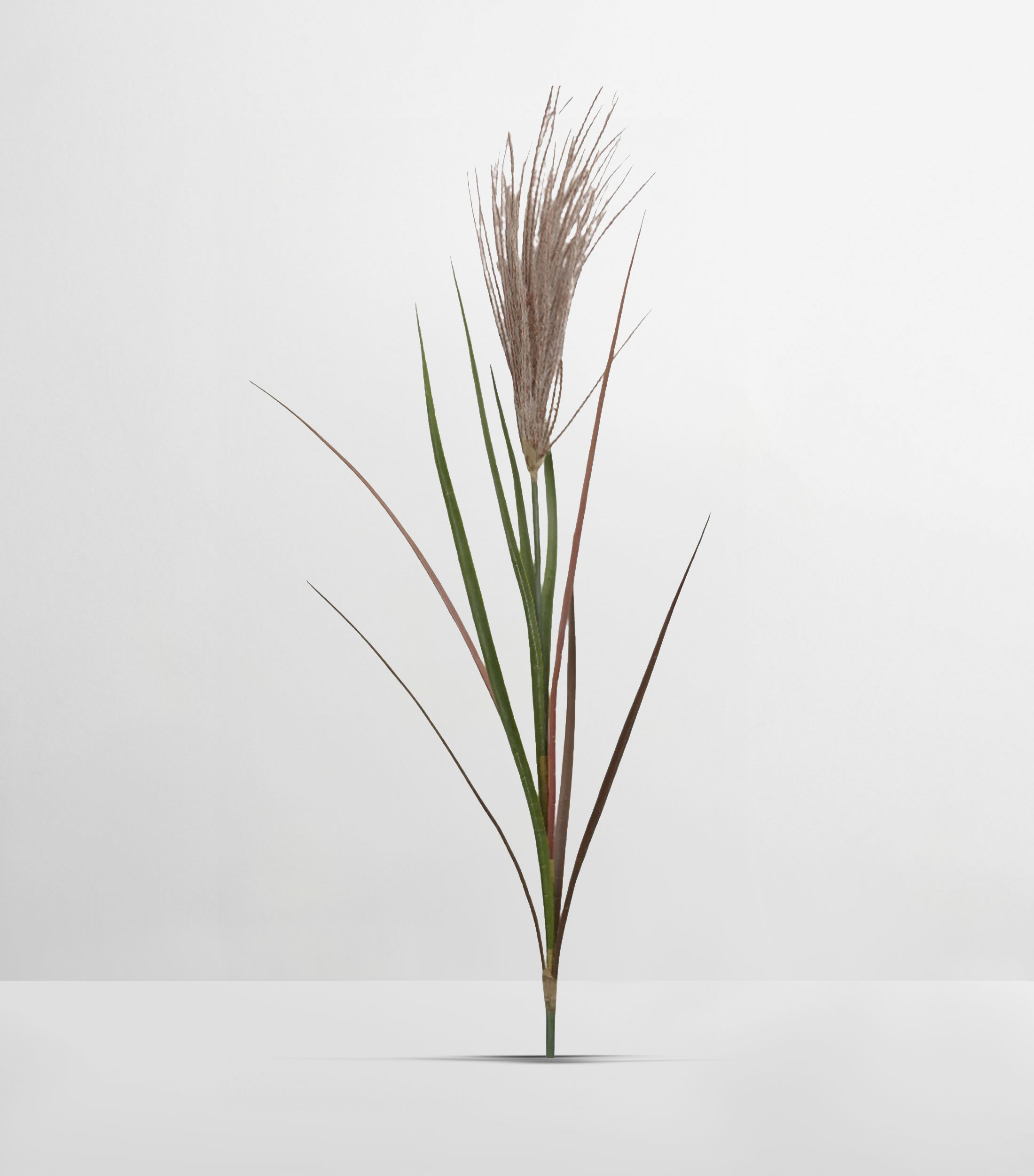 Rama Artificial Decorativa Carrizo