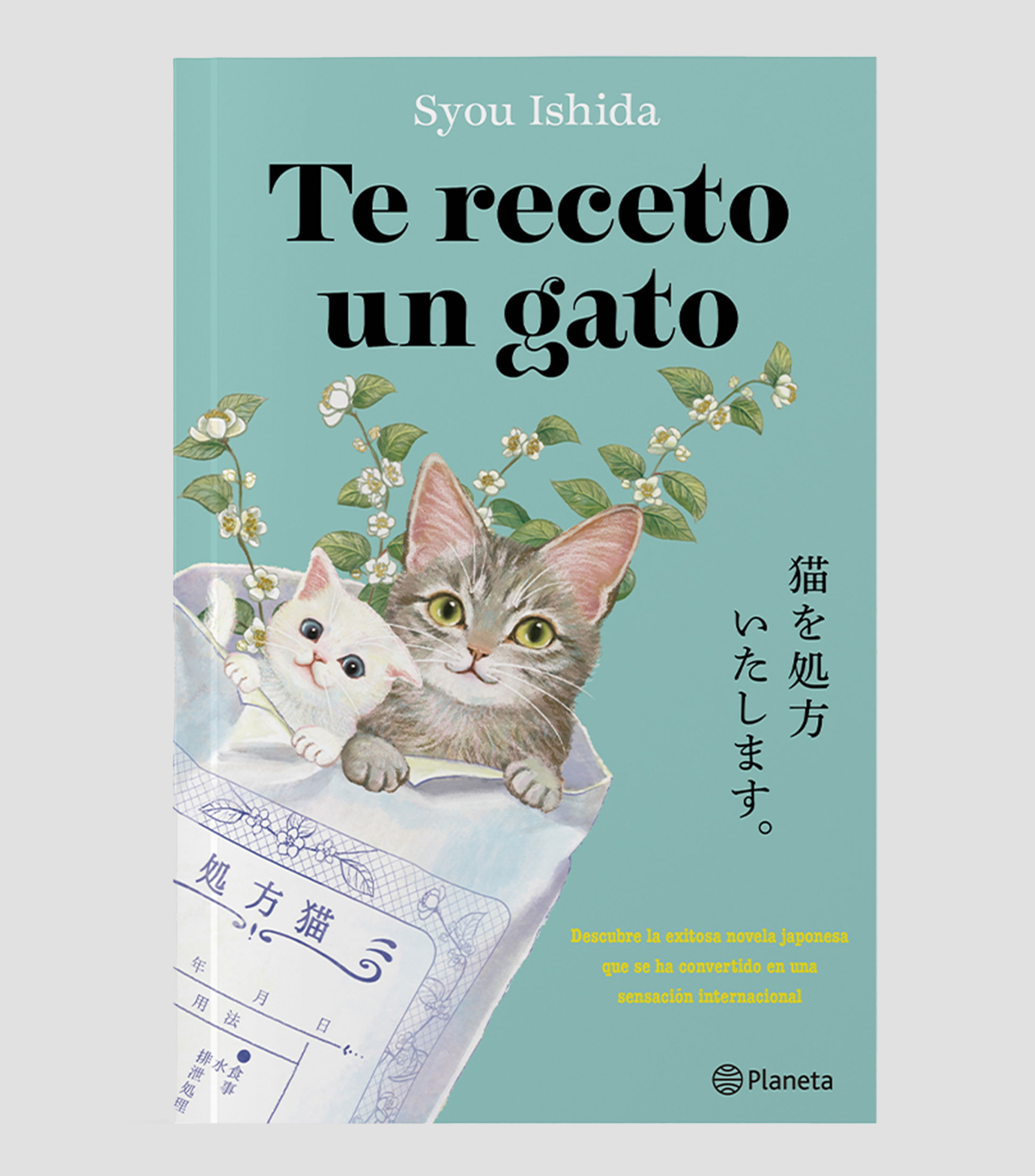 NovelaTe Receto un Gato, Syou Ishida