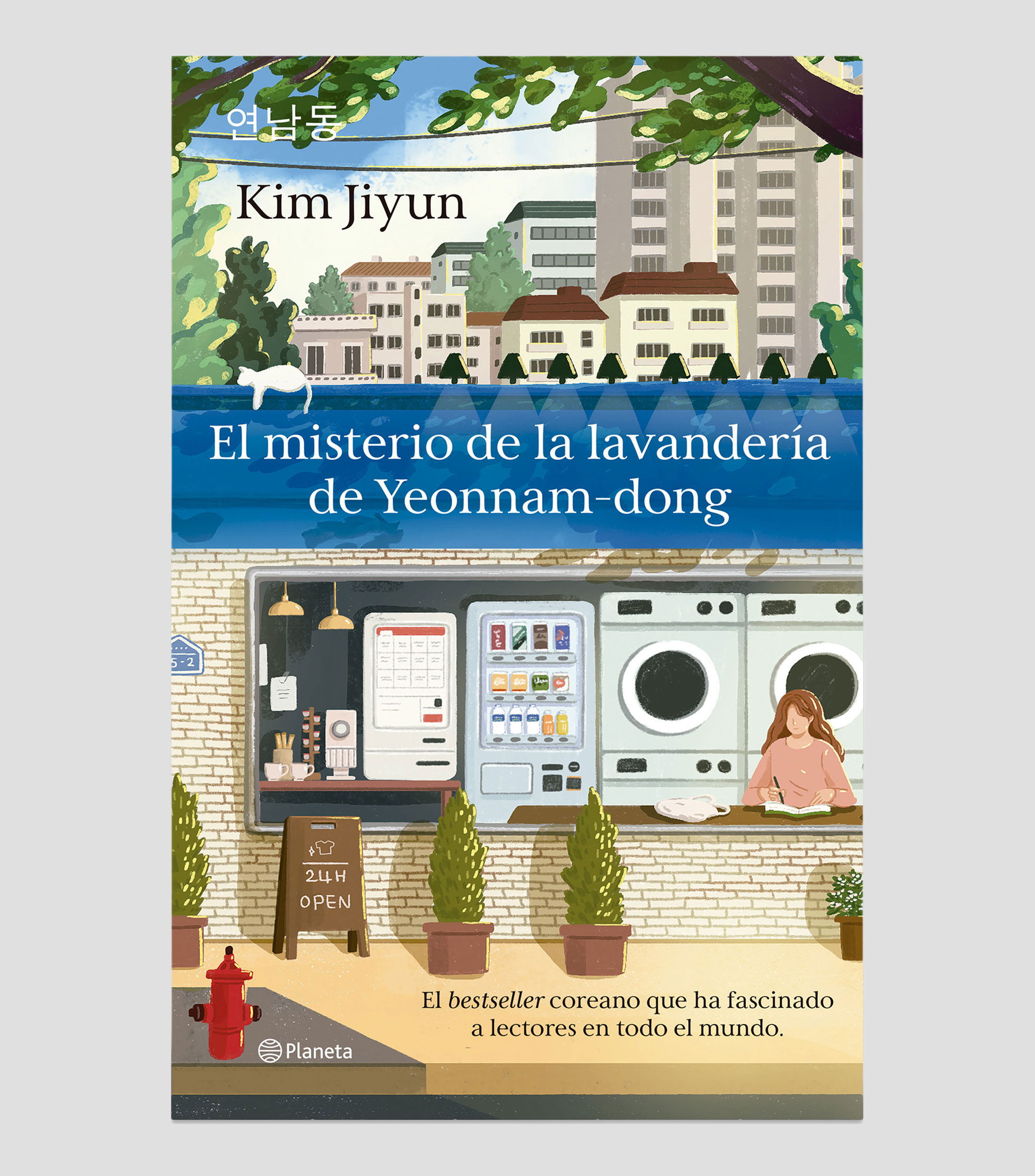 NovelaEl misterio de la lavandería de Yeonnam-dong, Kim Jiyun