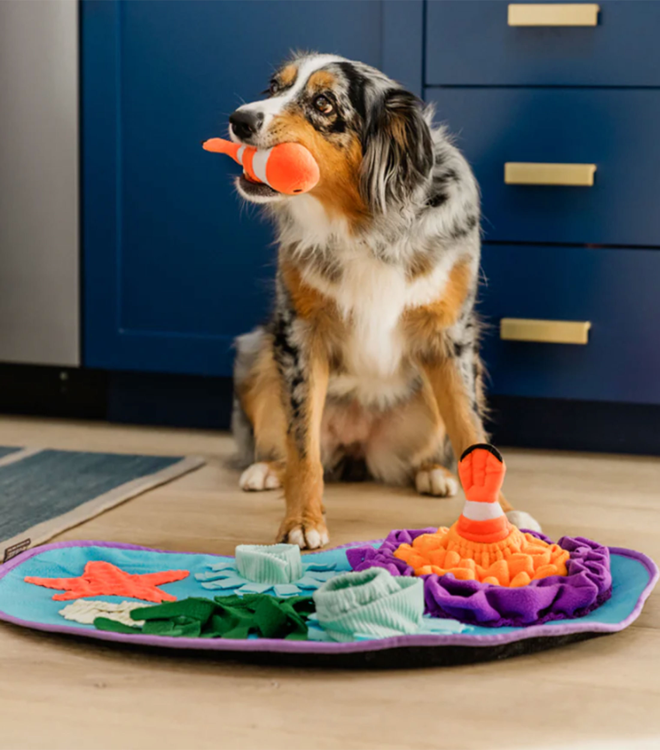 Tapete Olfativo Coral Para Perro
