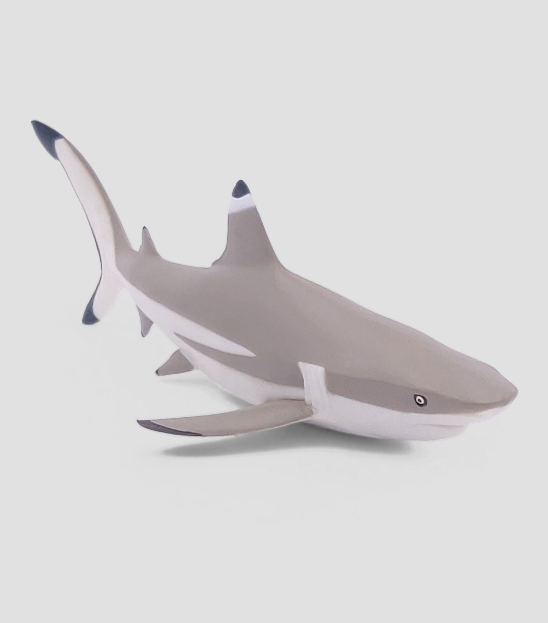 Figura de Tiburon Punta Negra