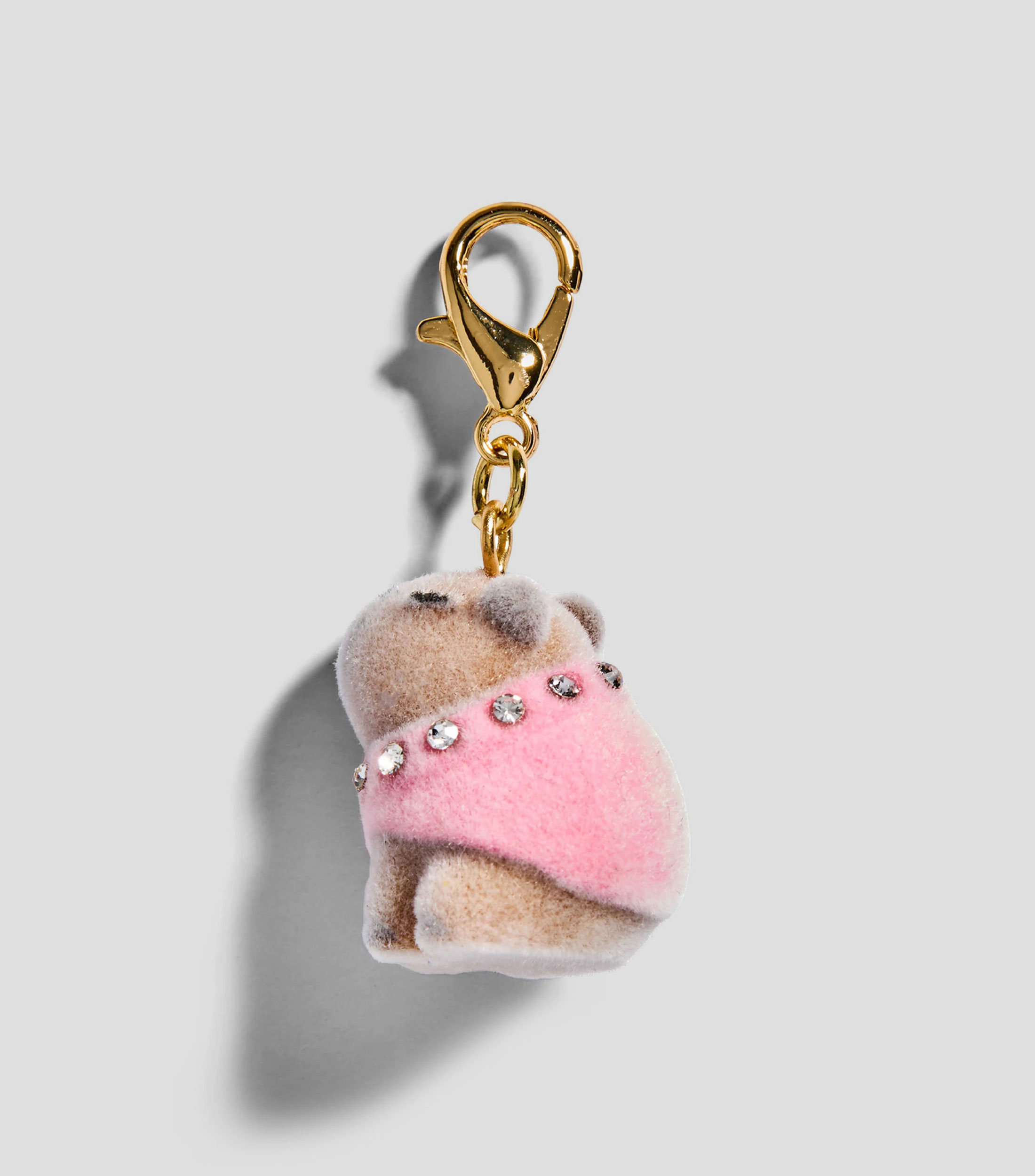 Charm Capibara
