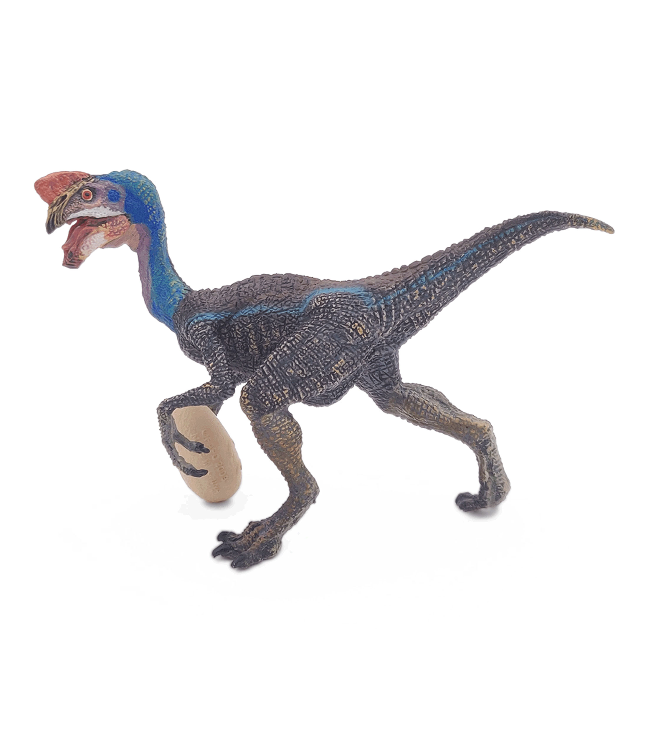 Oviraptor azul