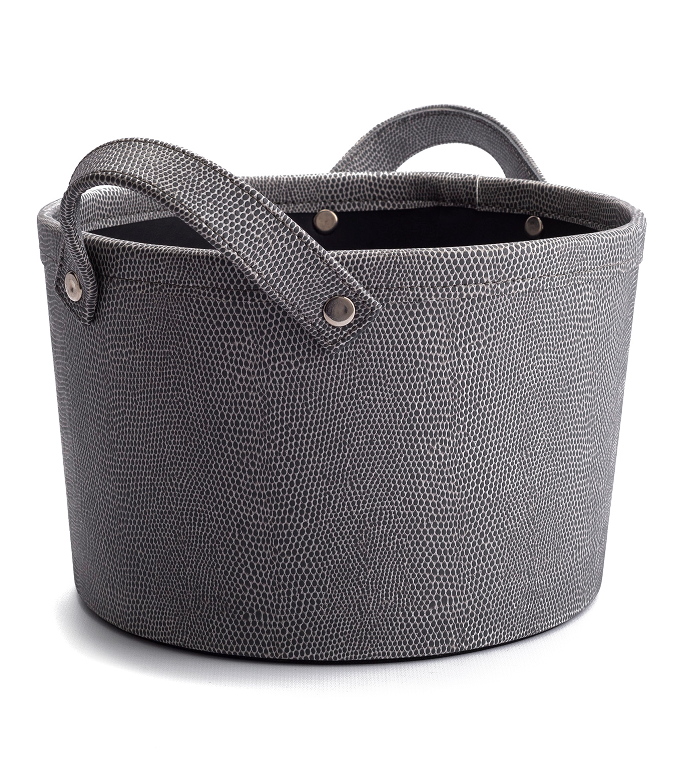 Reptil Gris Cobijero Mini