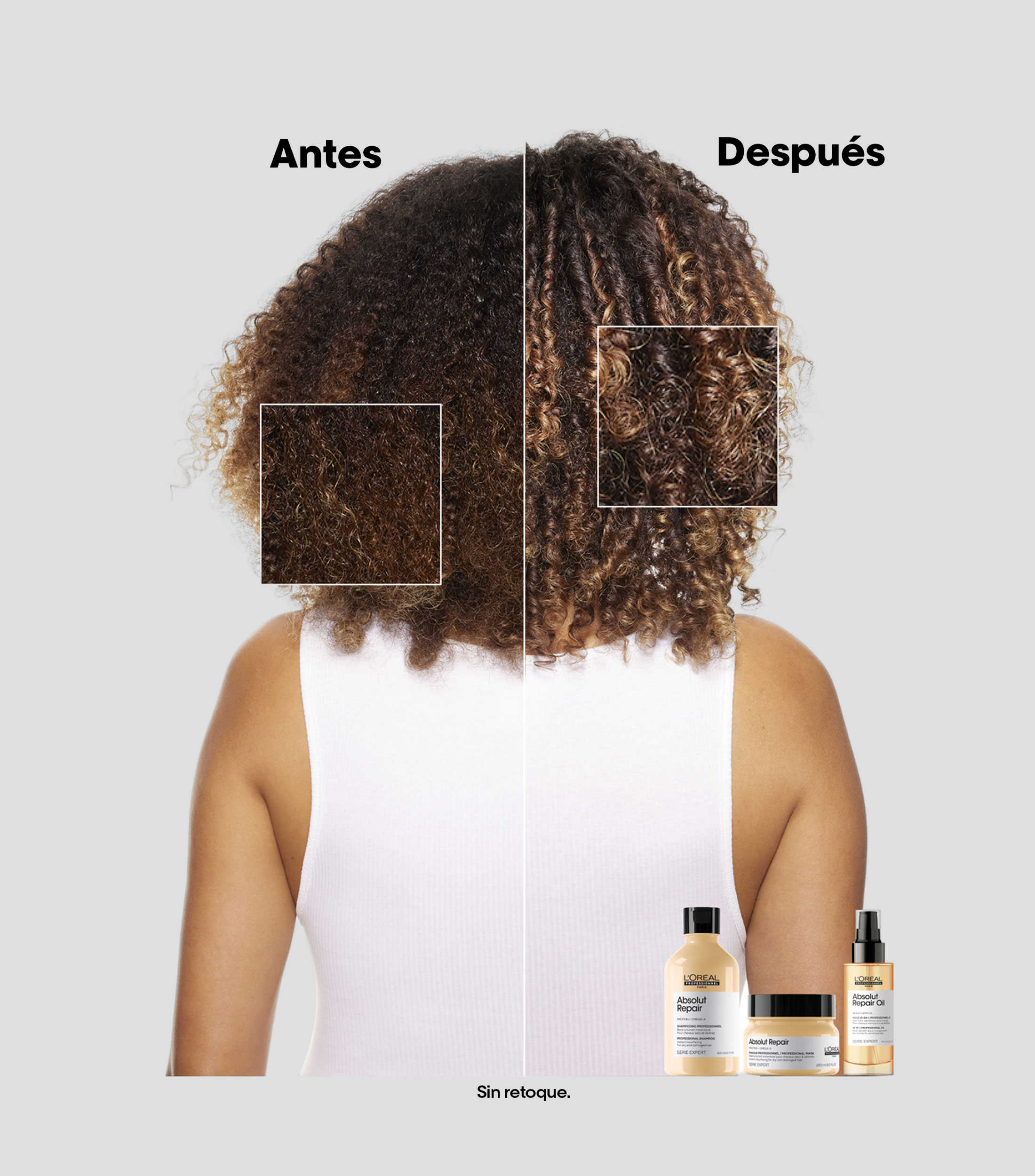 Shampoo para cabello Absolut Repair, 300 ml