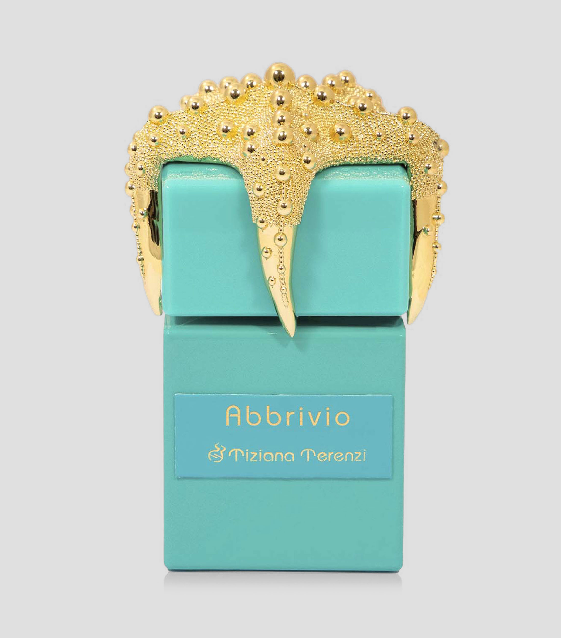 Perfume Abbrivio, Extracto de Perfume 100 ml Unisex
