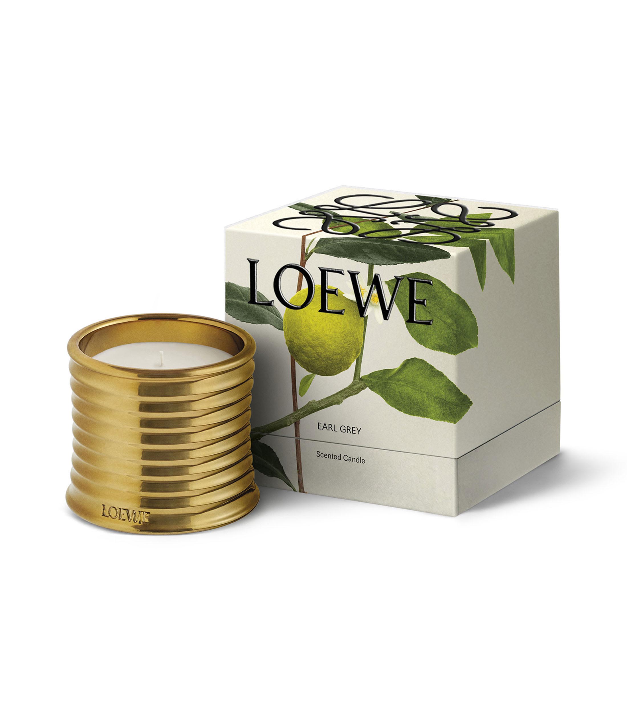LOEWE Vela Midi Earl Grey