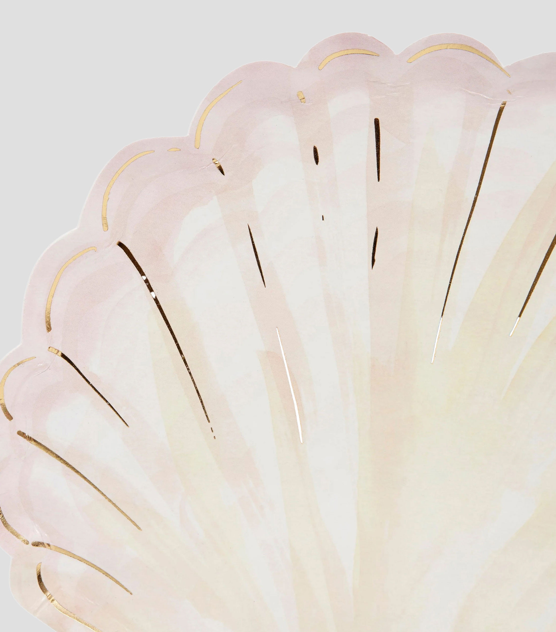Set 8 Platos Watercolour Clam Shell