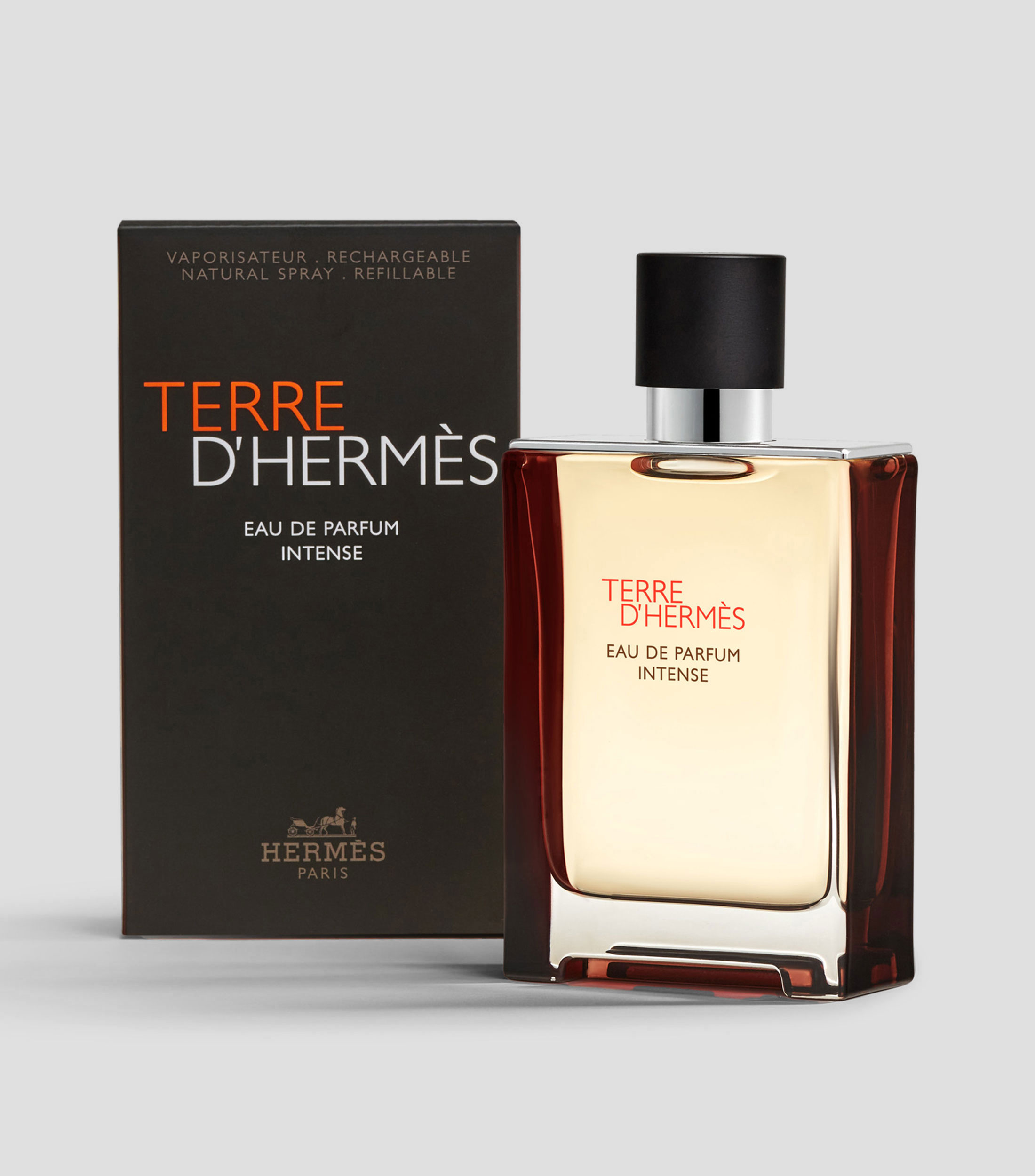 Perfume Terre dHermes, Eau de Parfum Intense, 100 ml para Hombre