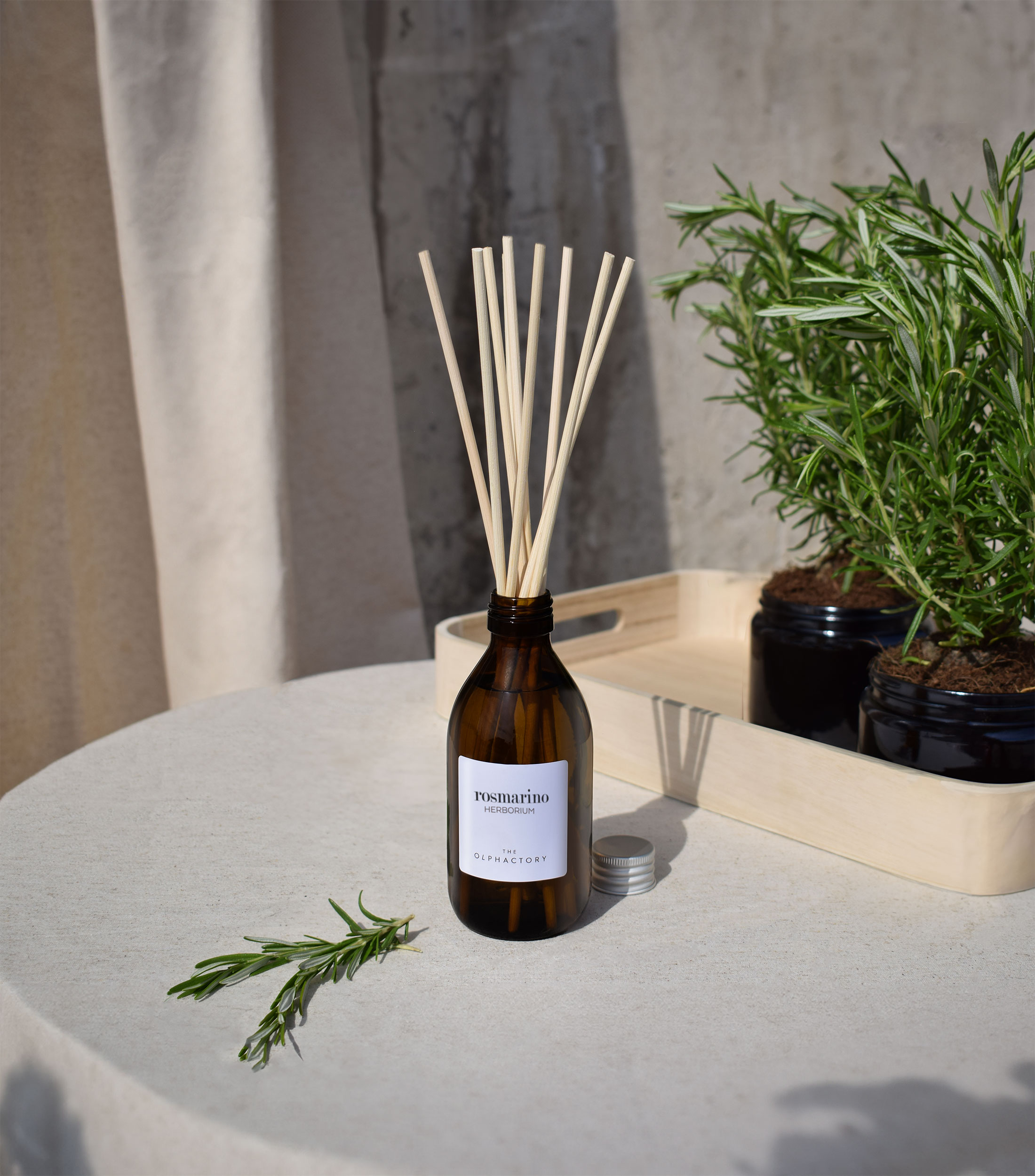 Difusor Aromatizante de Varillas Rosmarino